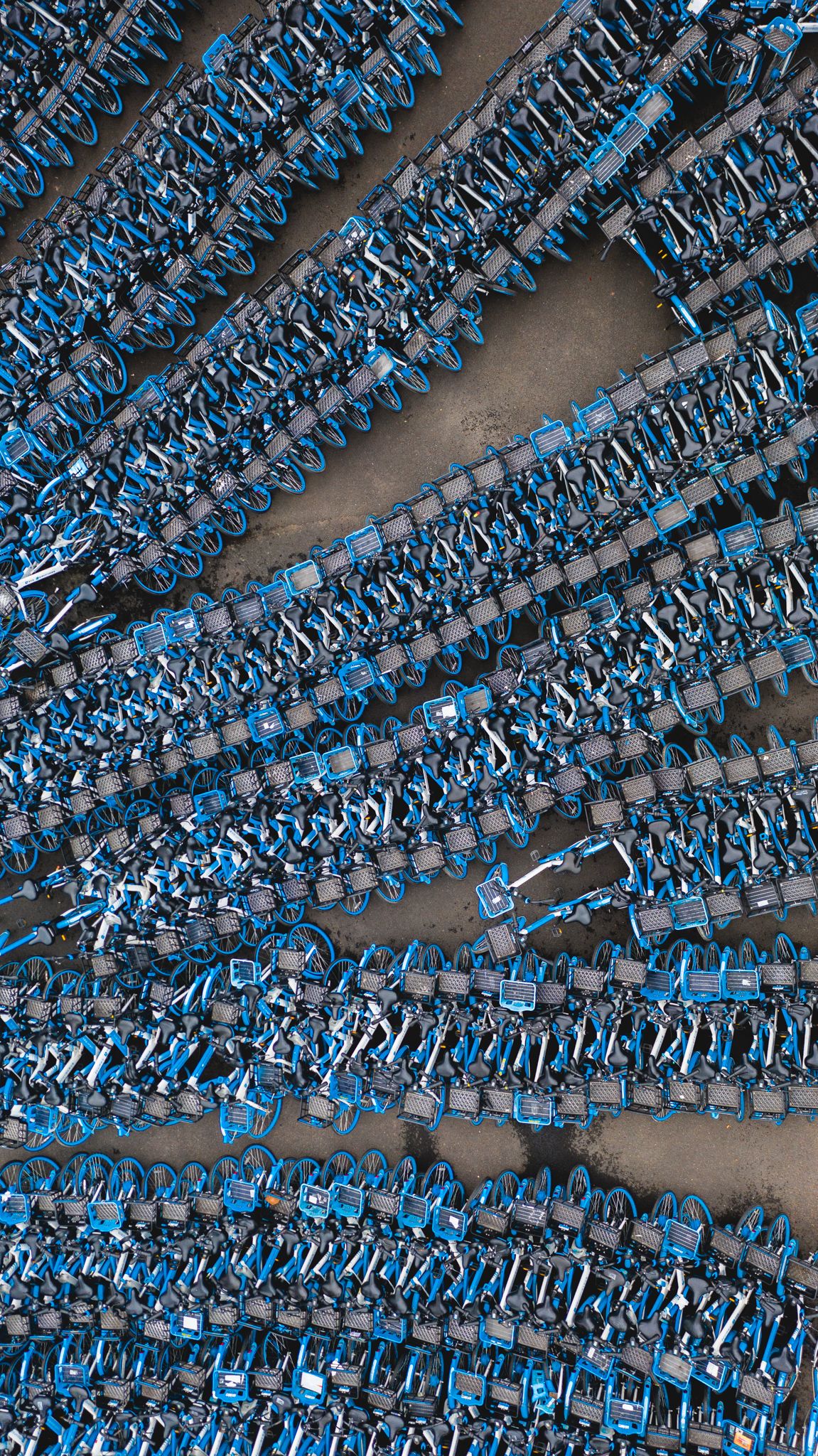 bicycle, blue, many, overconsumption, sharing, parking, lines, bunch, Druz Denys