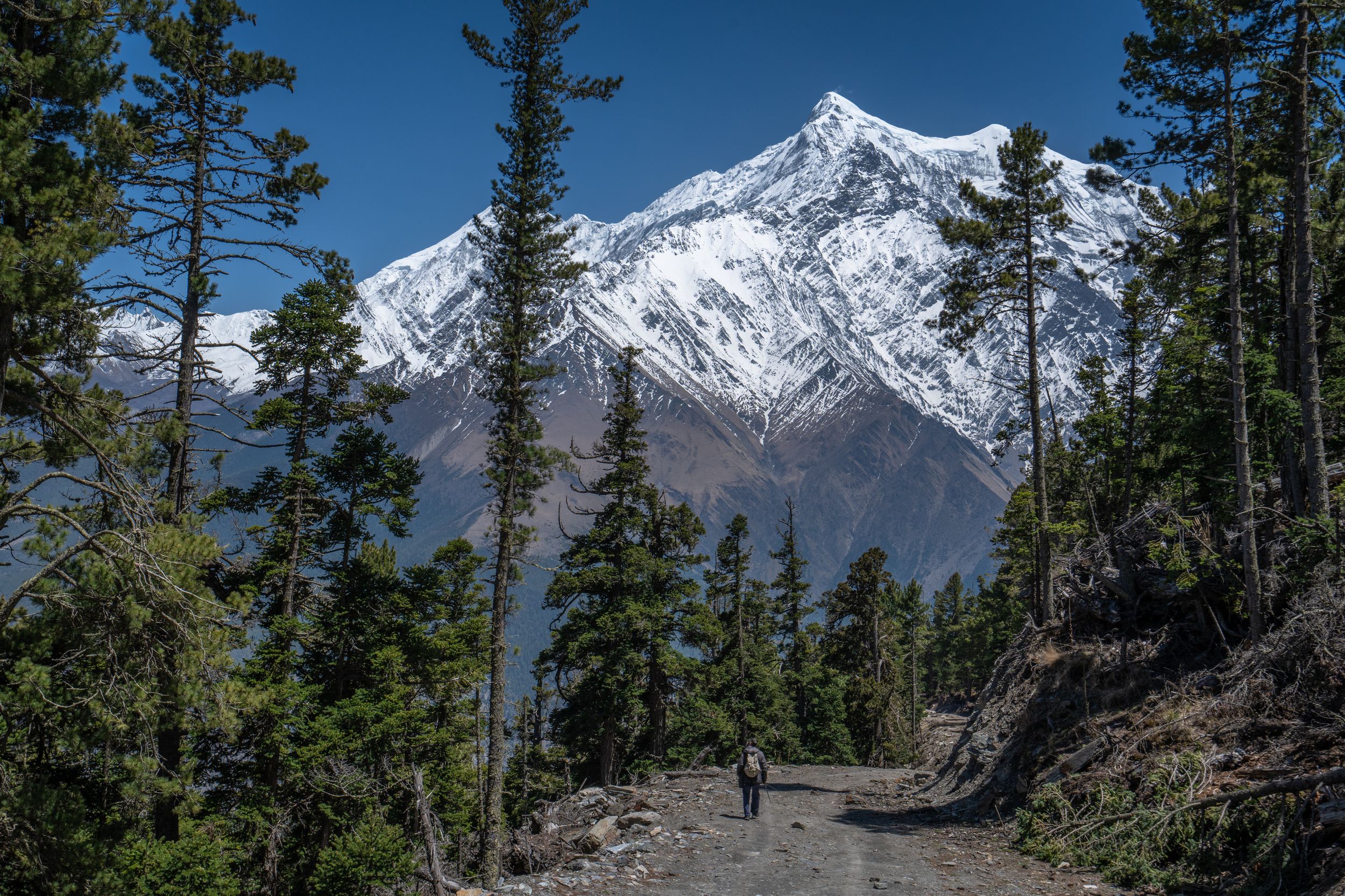 непал, гималаи, горы, nepal, himalaya, mountains, Баландин Дмитрий