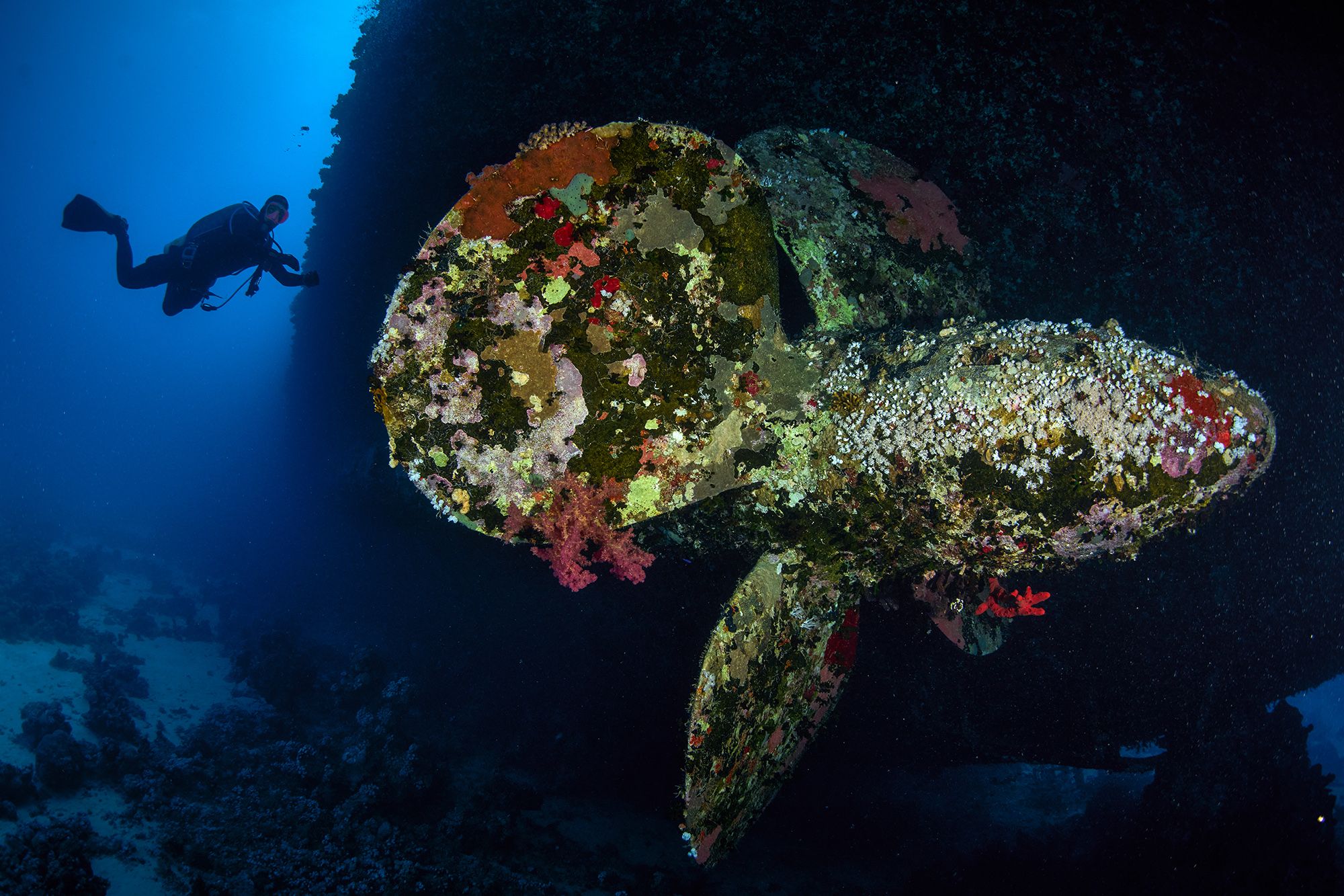 рэк, салем экспресс, дайвинг, подводная фотография, PAVEL PEREPECHAEV
