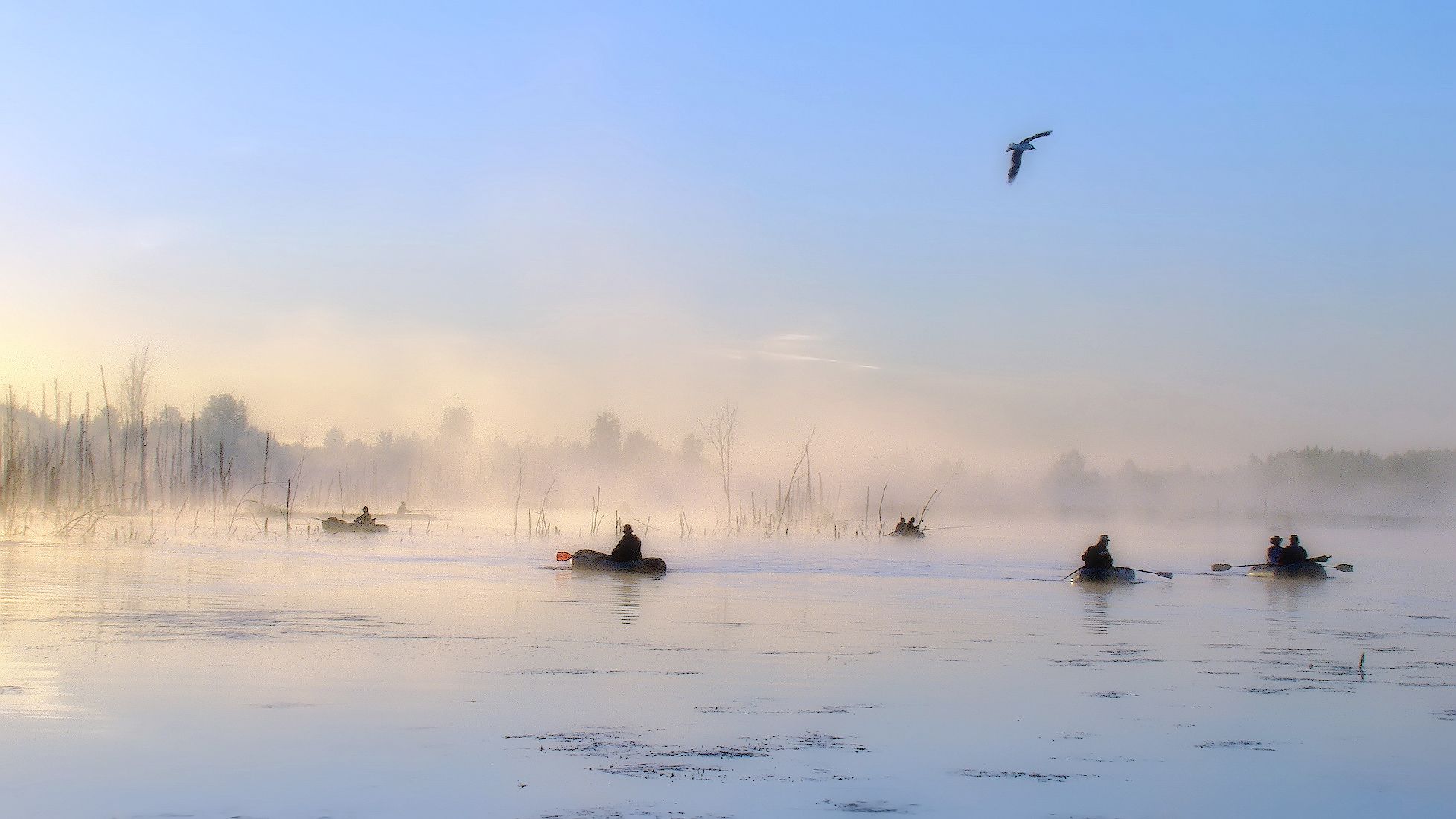 туман, рассвет, заря, рыбалка, лодки, Сергей Аникин