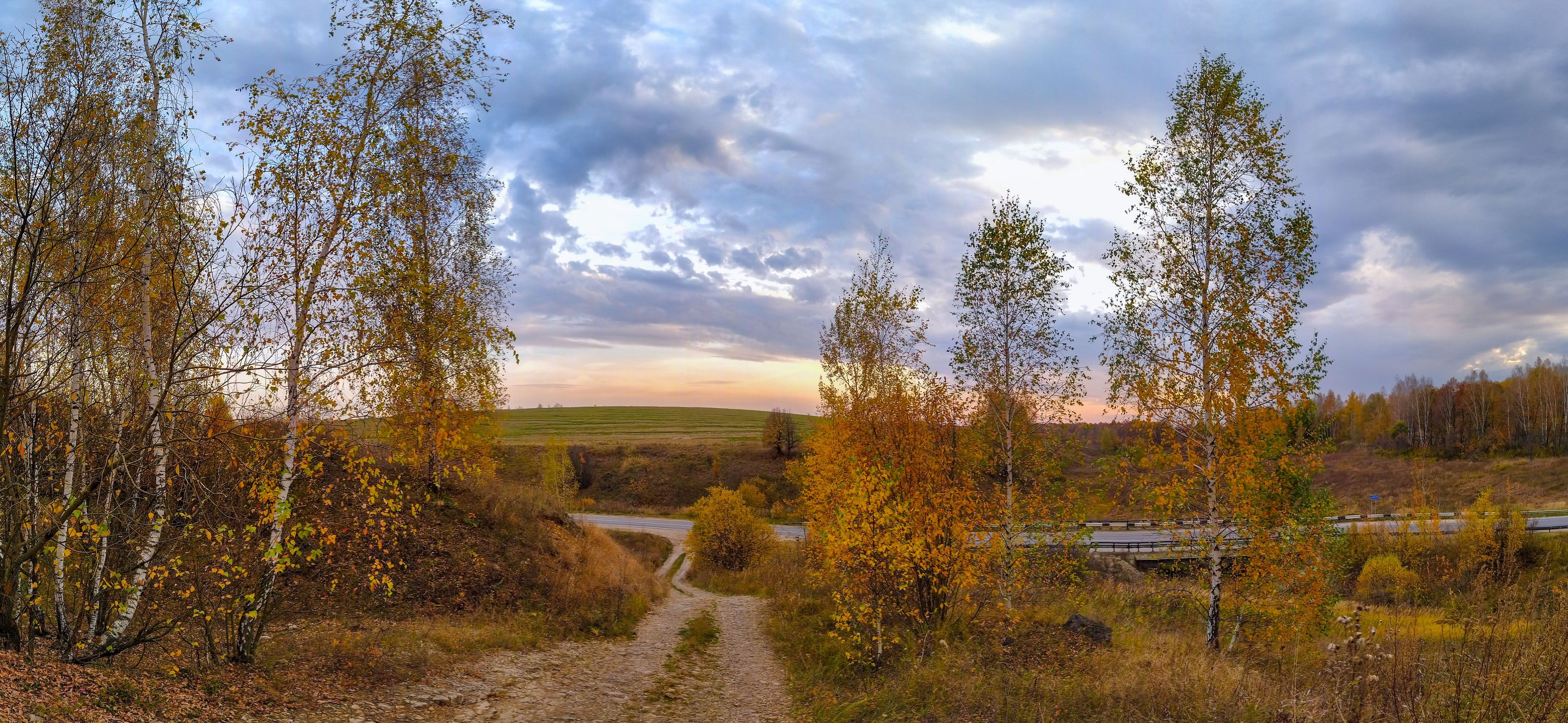 , Светлана Кондрашова