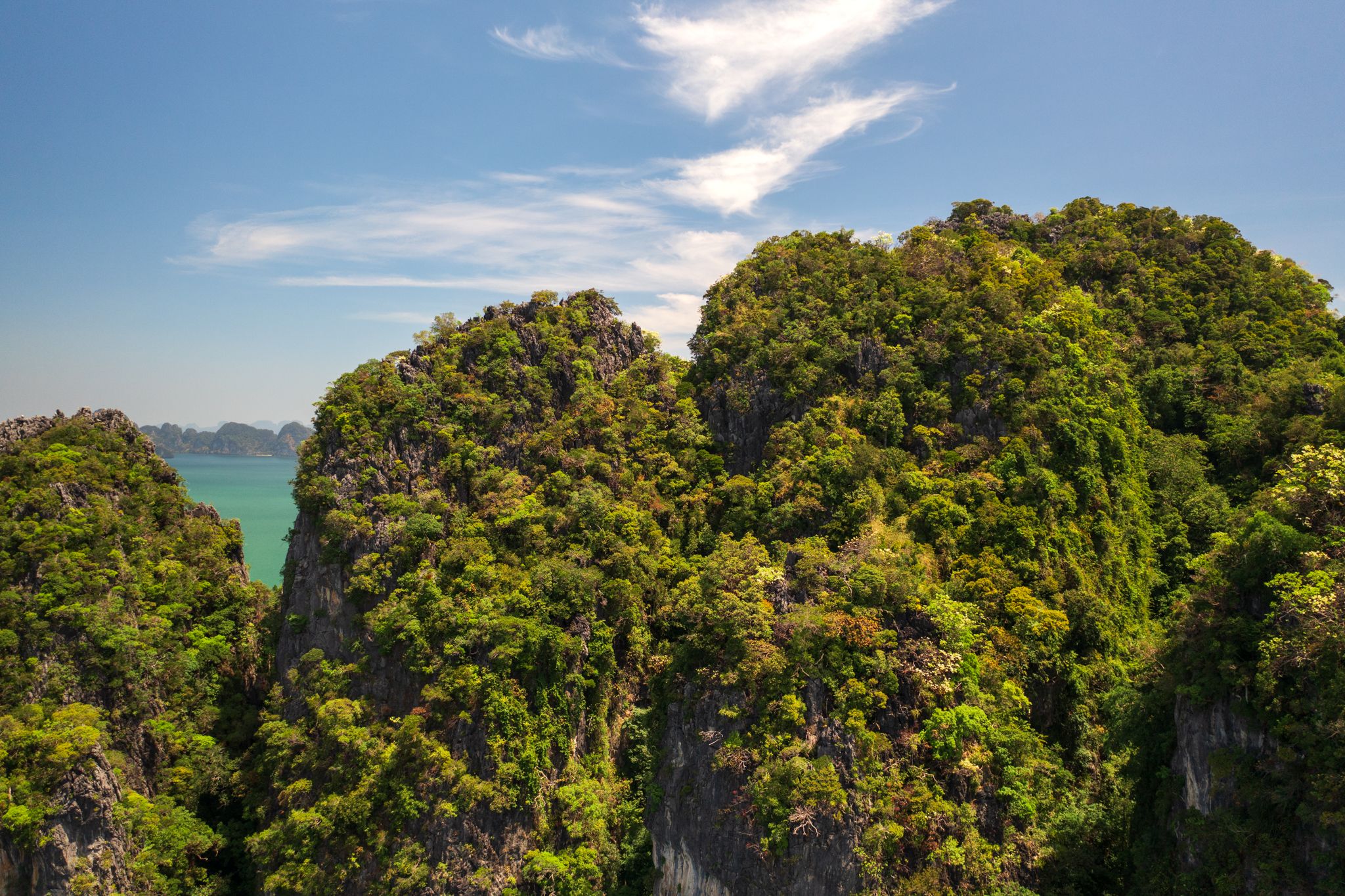 sea, green, island, jungle, ship, ocean, golf, bird's, view, aerial, high, uninhabited, desert, Druz Denys