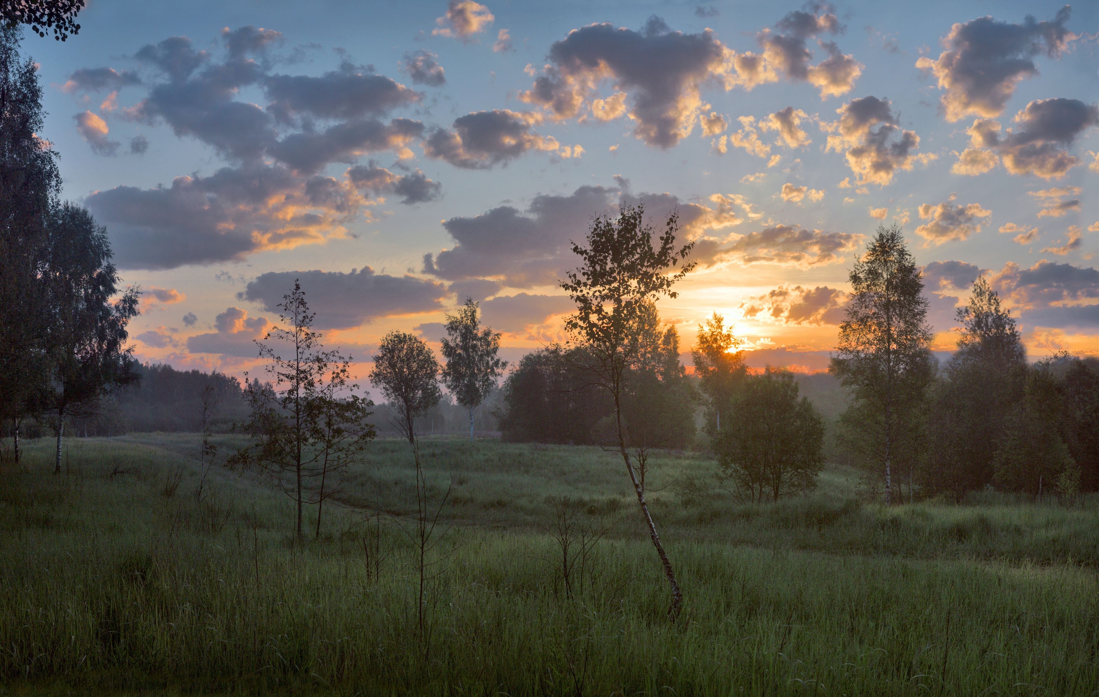 утро , поле , лес , восход, Александр Свистков