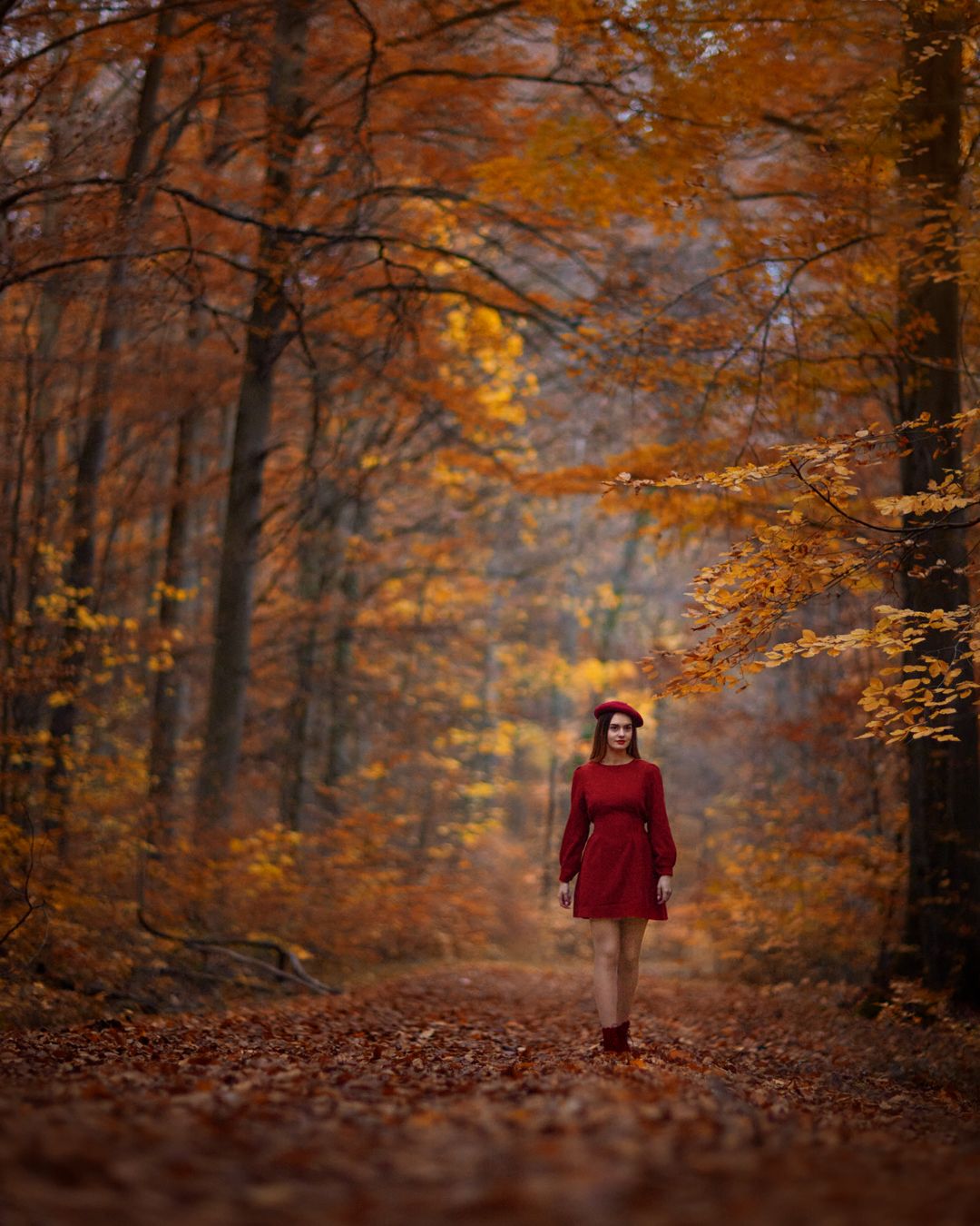 осень, красная шапочка, сказка, лес, Natalie Seitner