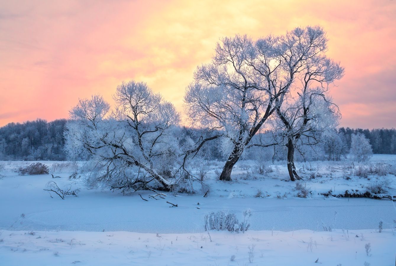 зима, рассвет,мороз,река, деревья,, Сергей Шабуневич