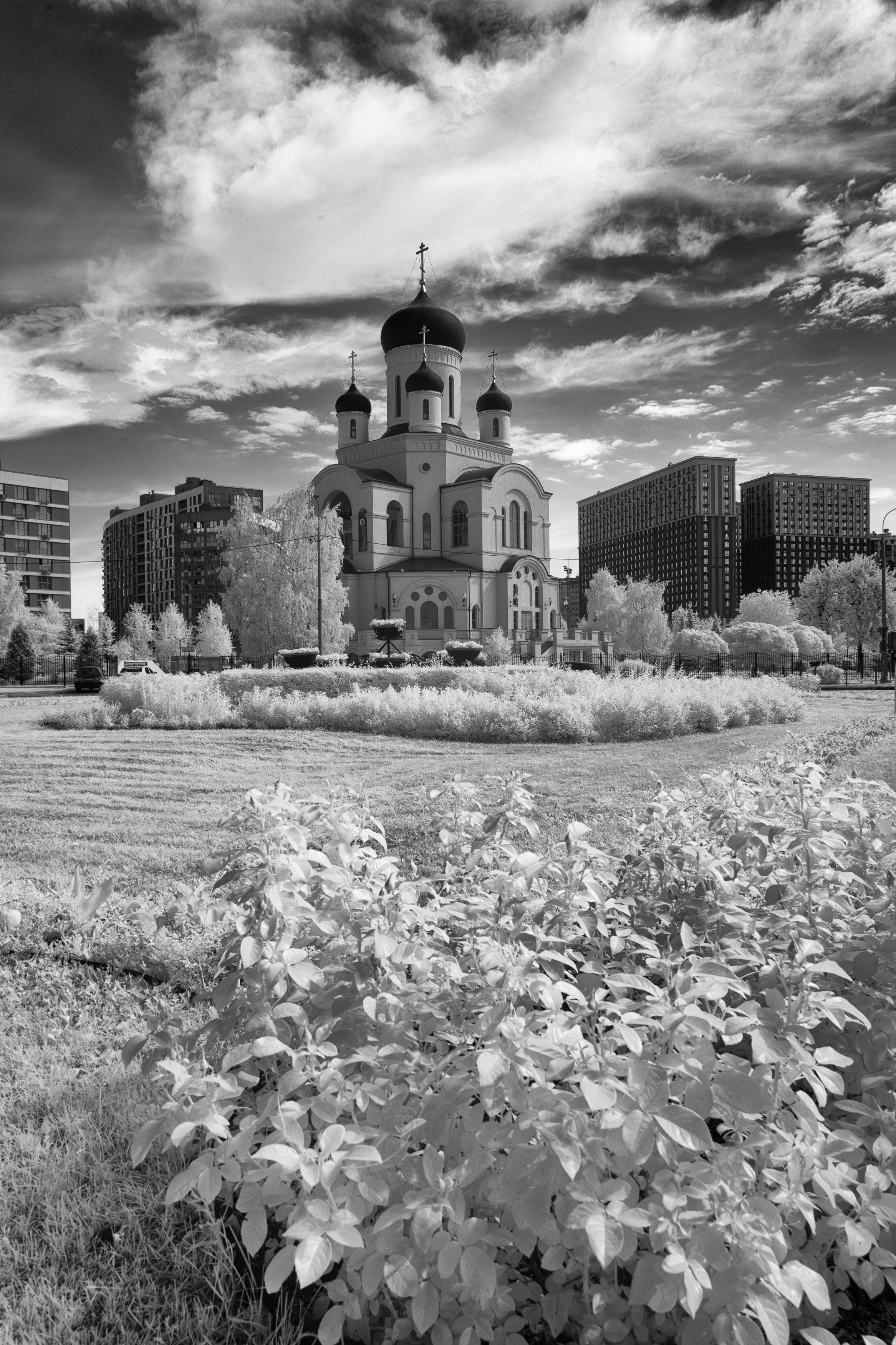 Мытищи, Рождественский собор, инфракрасное фото, Пономарев Илья