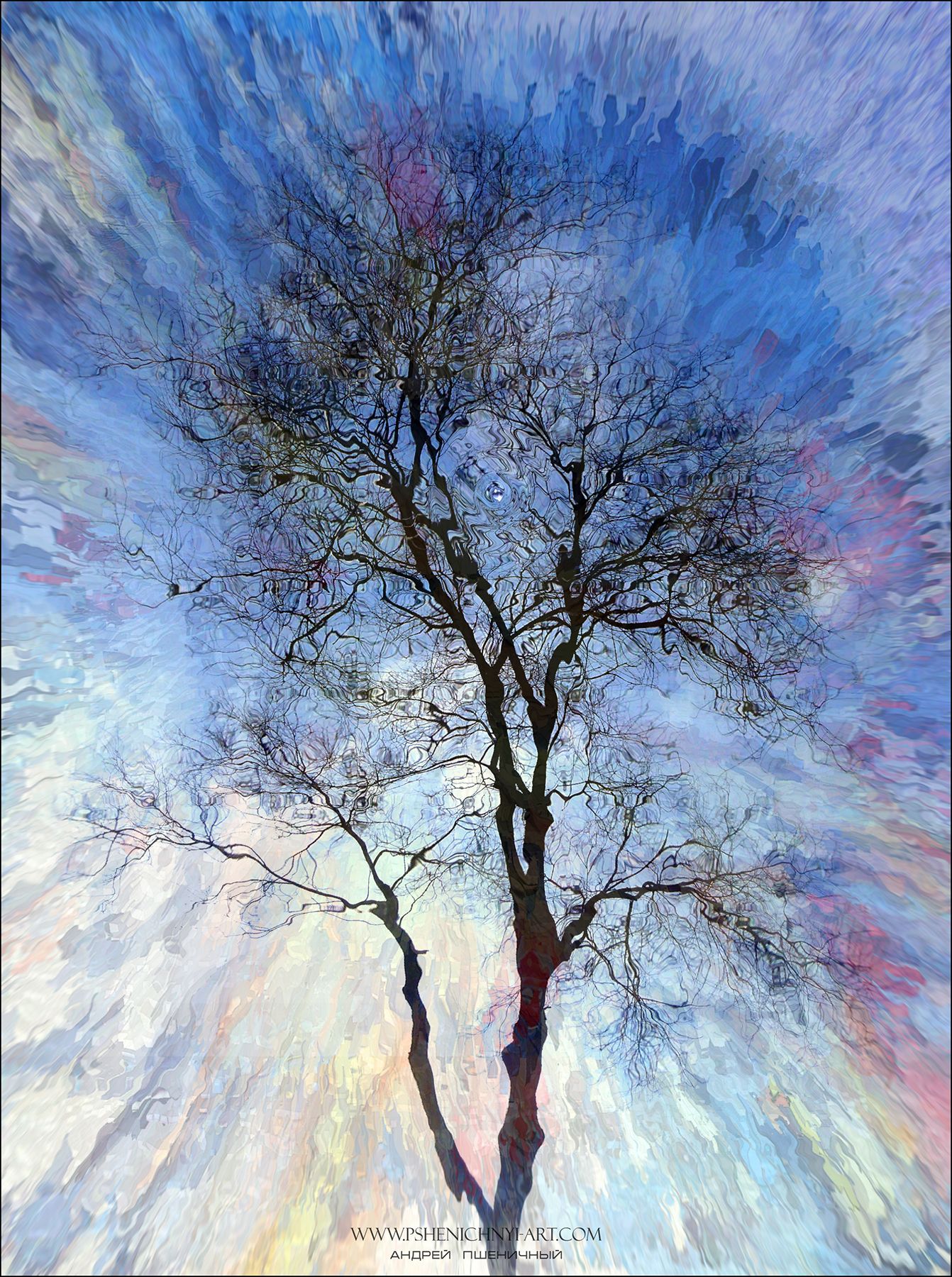 дерево, абстракция, концепция, весна, небо, эйфория, атмосфера, настроение, Пшеничный Андрей
