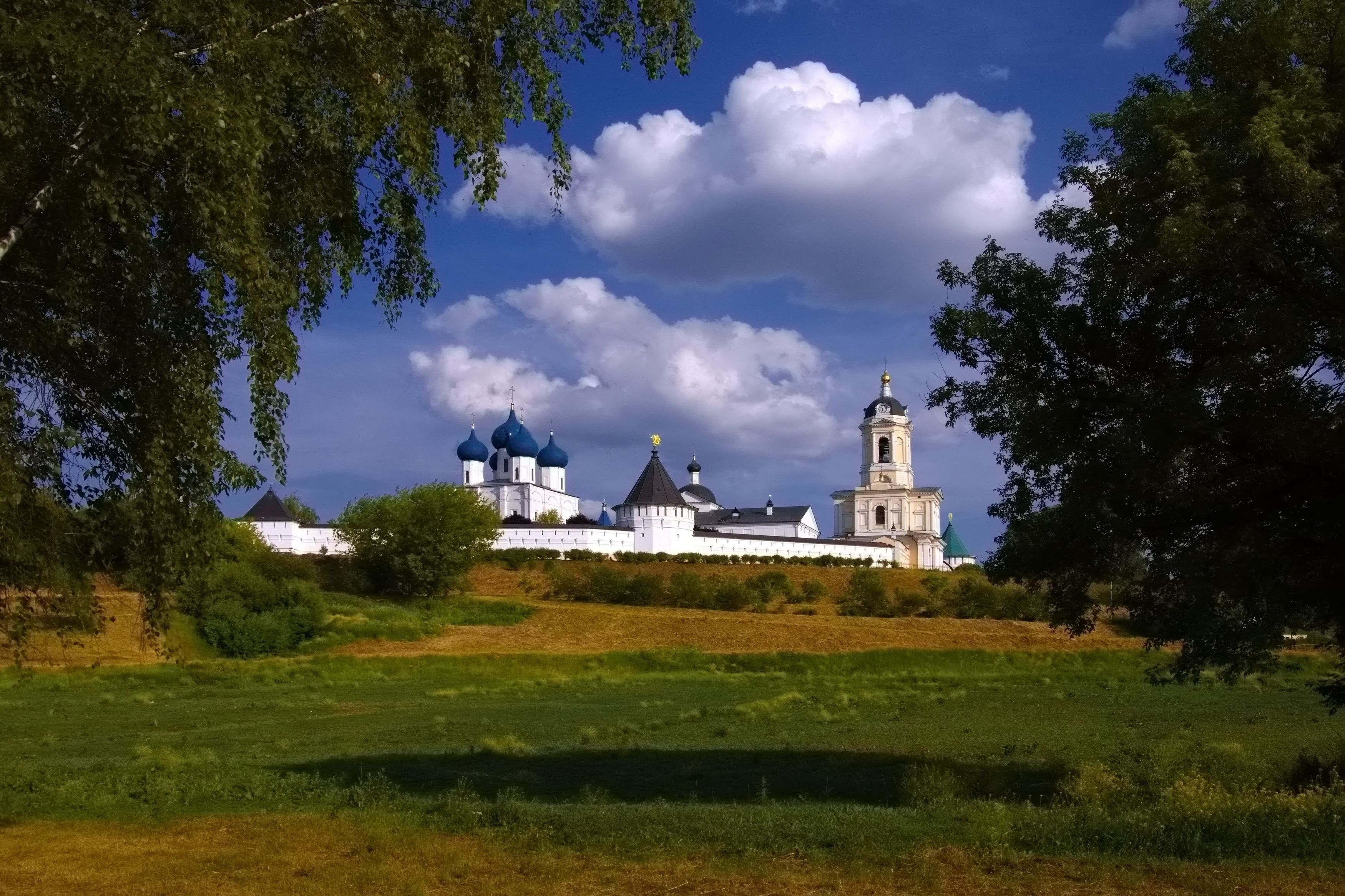 Высоцкий ставропигиальный монастырь, Александр Лукин