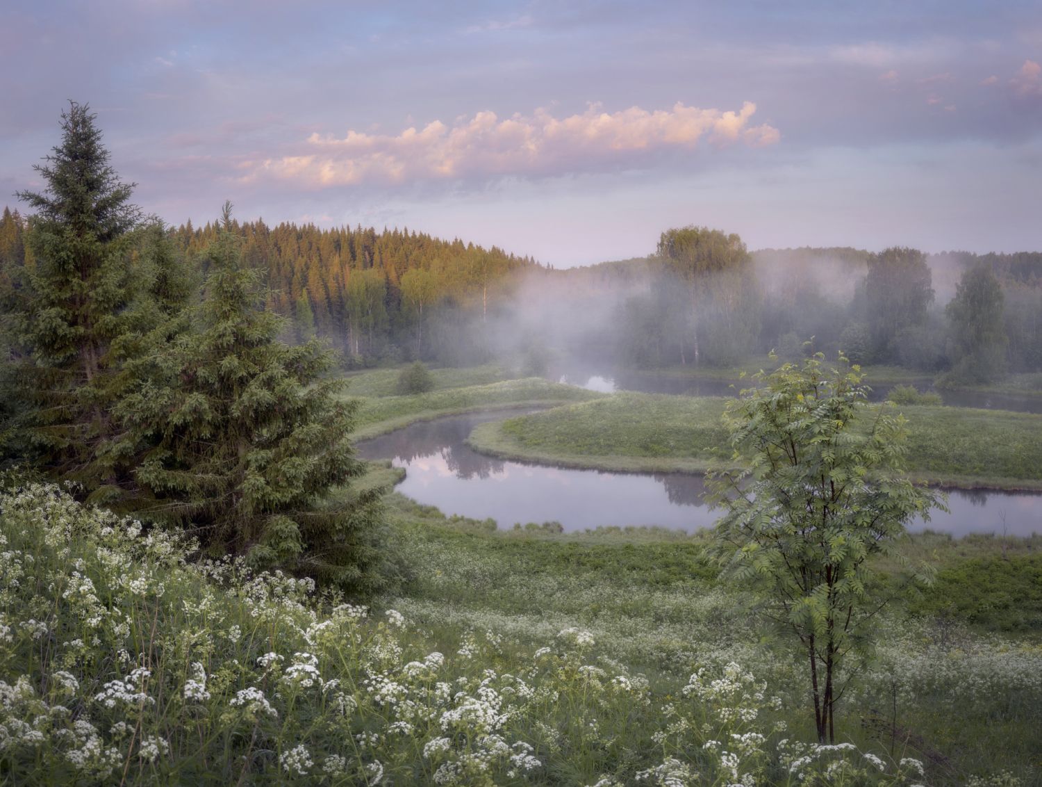 рассвет утро туман река июнь лето, Сергей Буторин