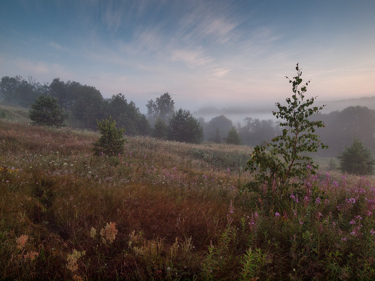 , Владимир Перепечаев