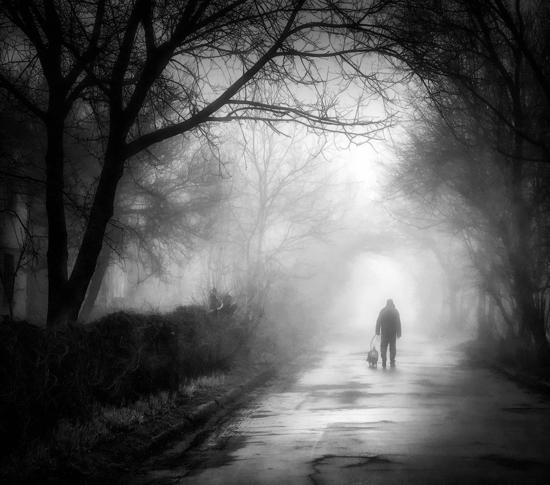 Гибнущий свет. Человек уходящий в лес. Уходящий в туман. Странник уходит вдаль. Ушла в туман.