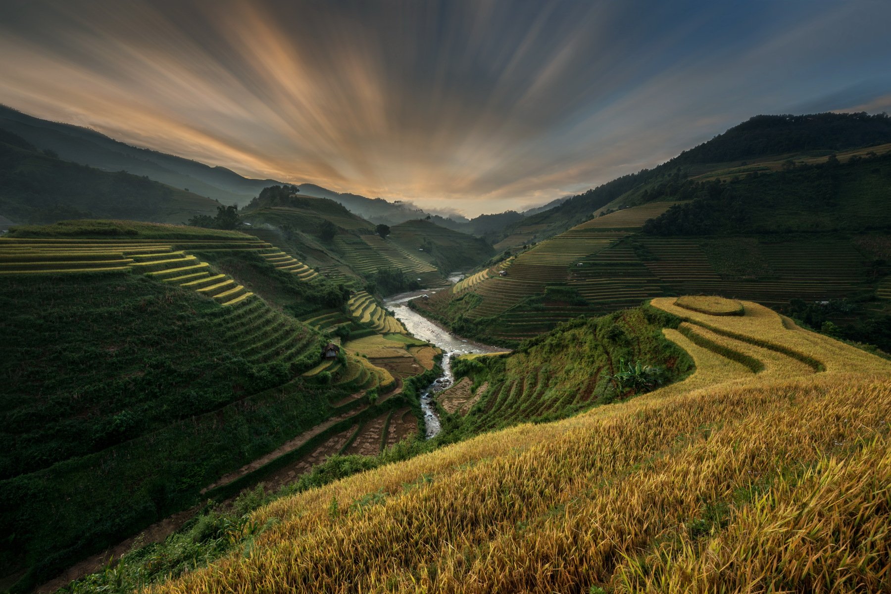 Beauty In Nature, Color Image, Crop, Field ,Gold, Colored ,Horizontal, Landscape, Mountain ,Mountain Range, No People, North Vietnam, Outdoors, Photography, Rice Paddy, Rural, Scen,e Terraced, Field, Tranquil Scene, Travel Destinations, Tree, Vietnam, Vie, sarawut intarob