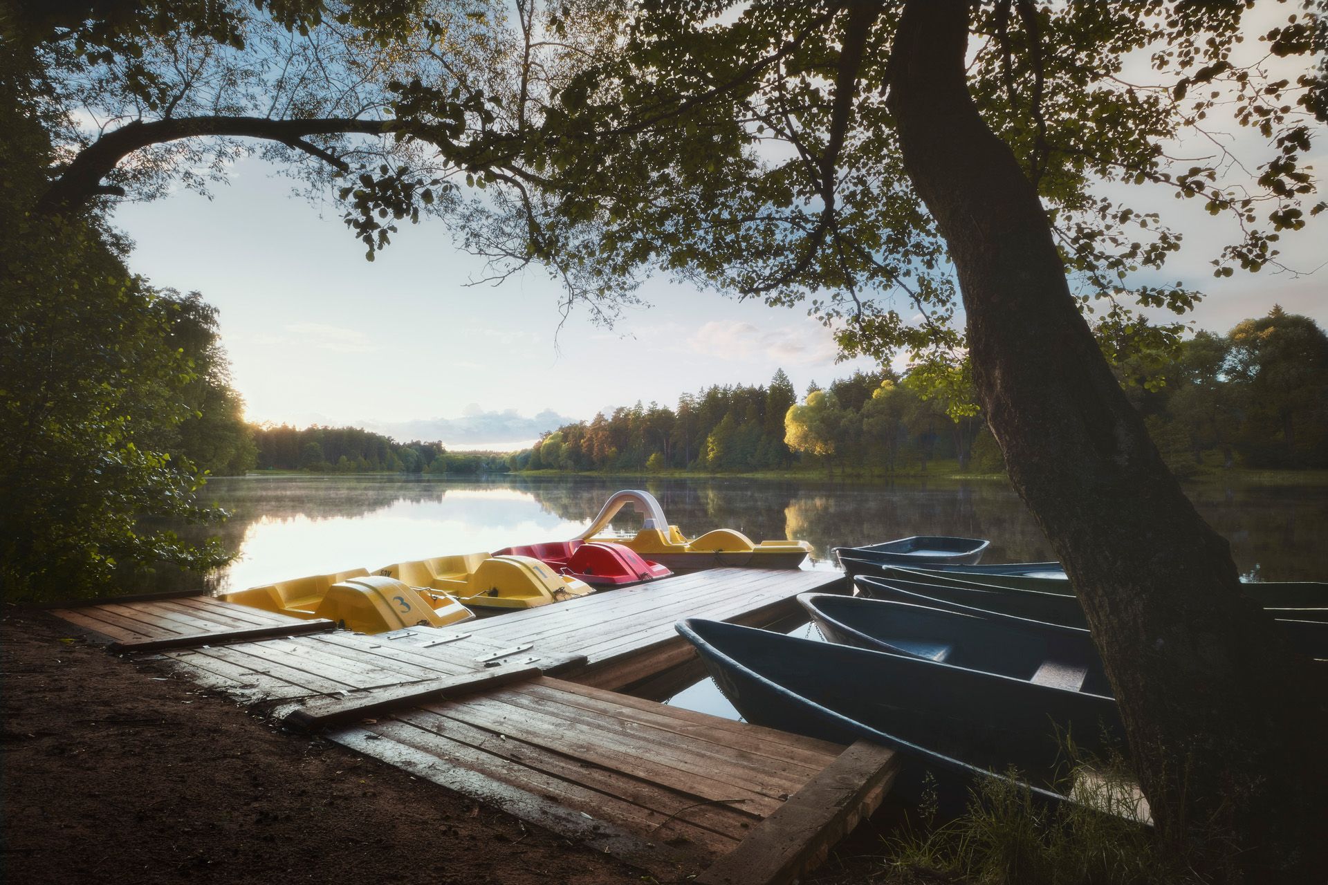 лес, озеро, деревья, лодки, отражения, Валерий Вождаев