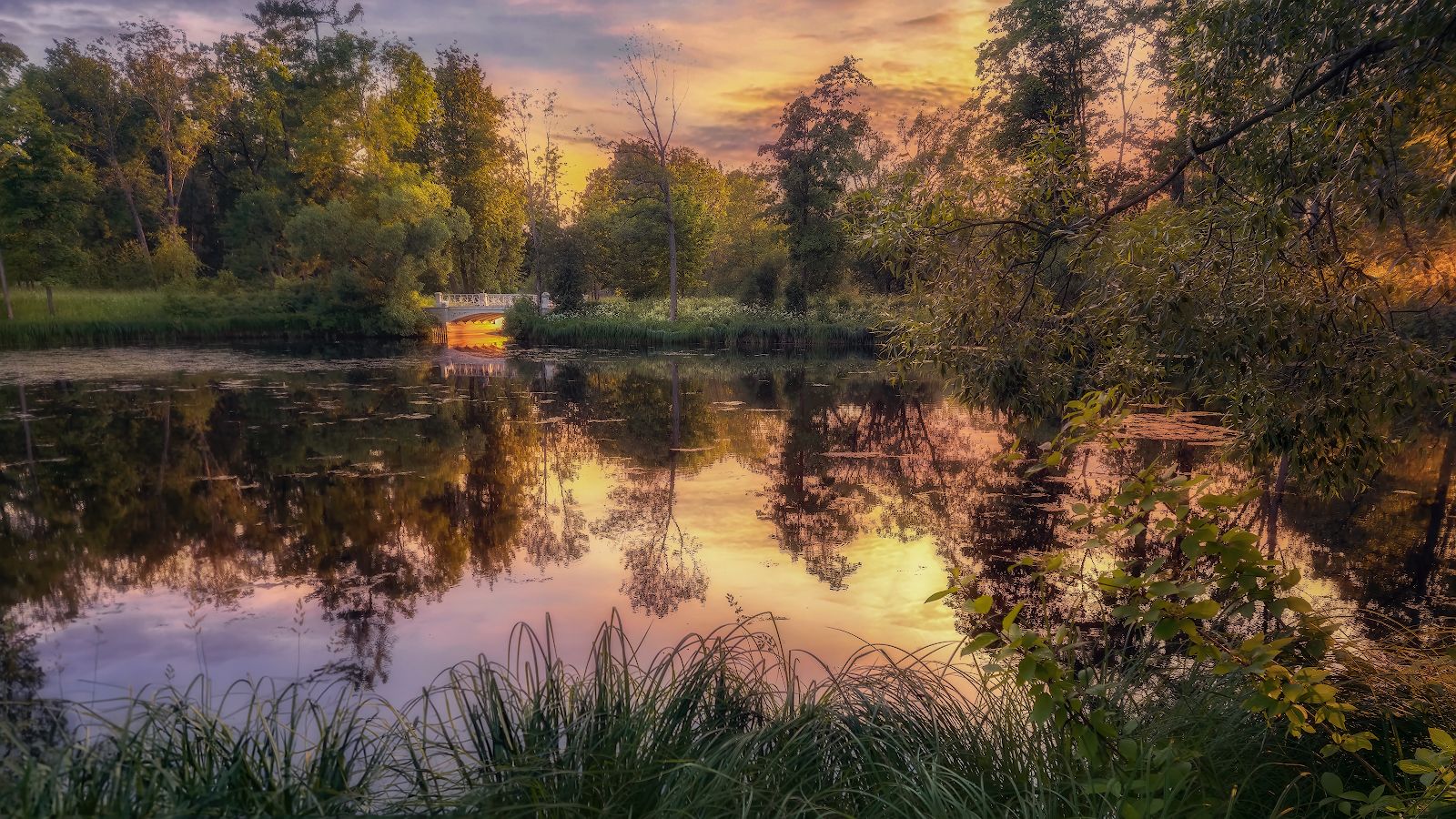 озеро отражение закат деревья вечер лето небо солнце, Константин Скороходов