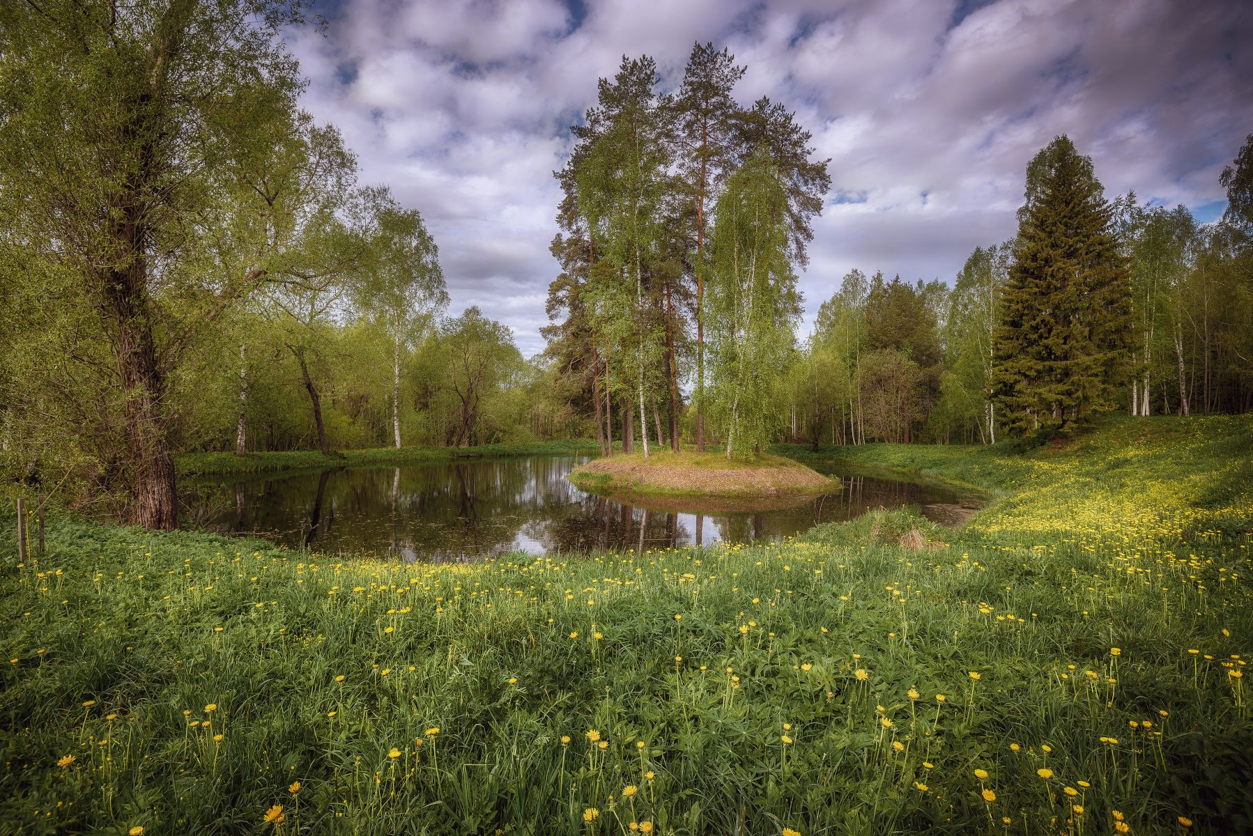 весна, островок, река, лес, Сергей Аникин