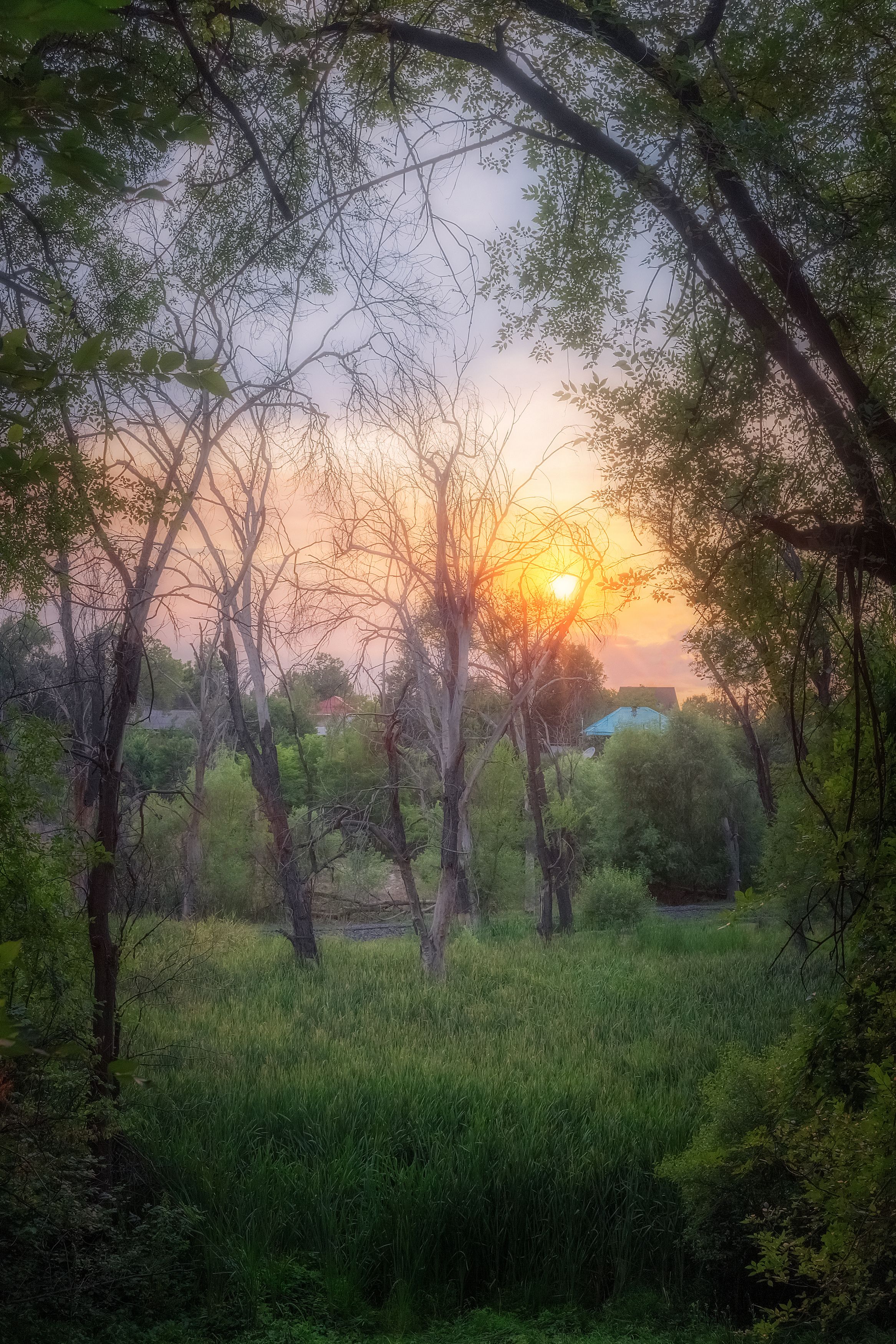 вечер солнце пейзаж фотография лето жара деревья зелень, Еремеев Дмитрий
