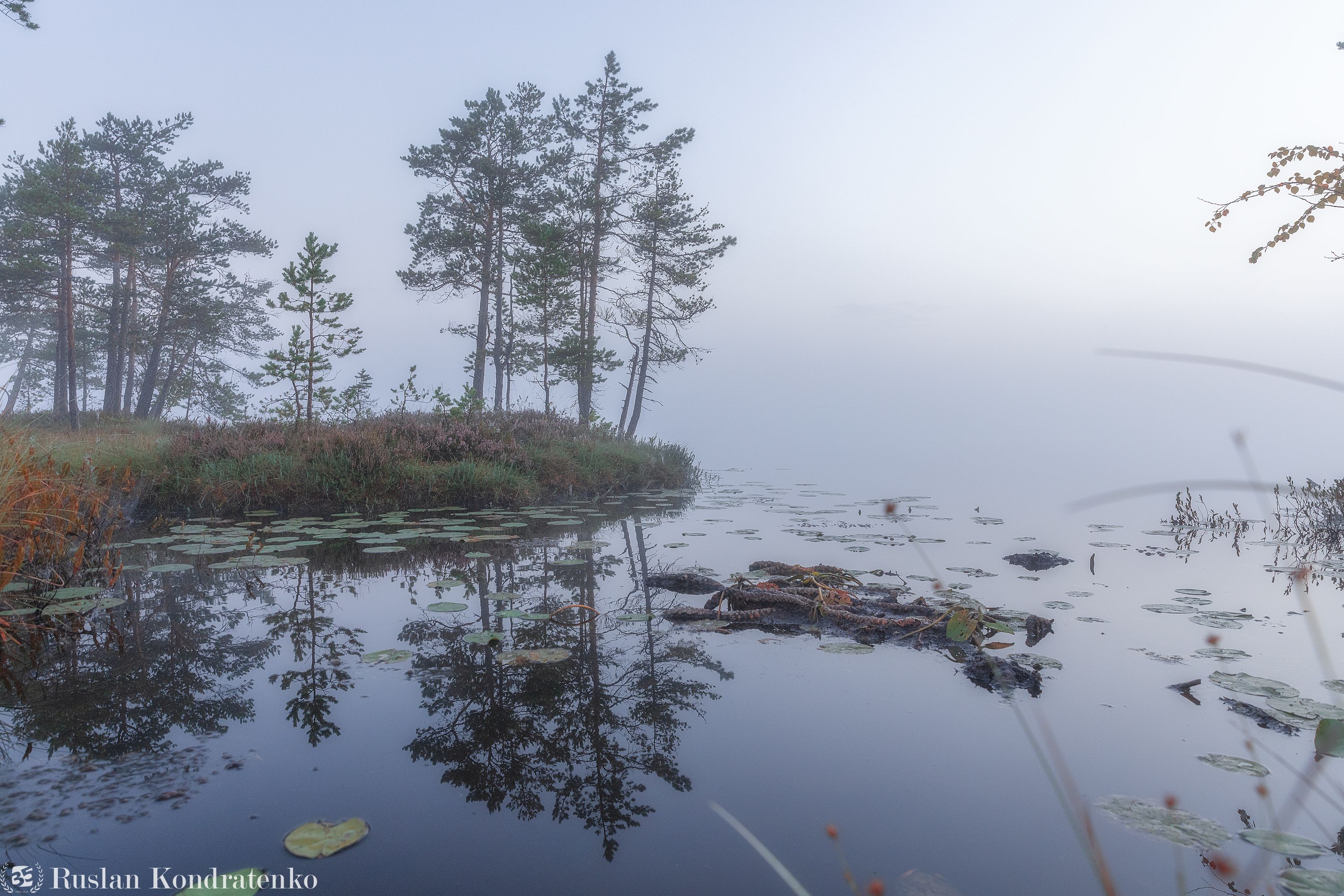 ленинградская область, озеро, рассвет, закат, рыбачье озеро, туман, Кондратенко Руслан