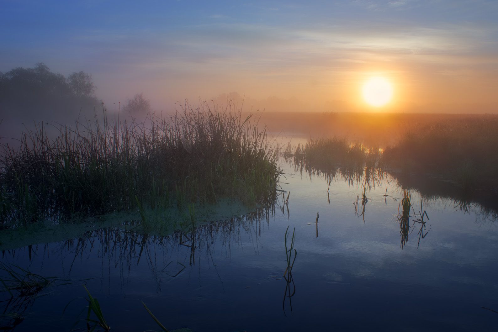 fog, morning, landscape, dawn, sunrise, Виктор Тулбанов