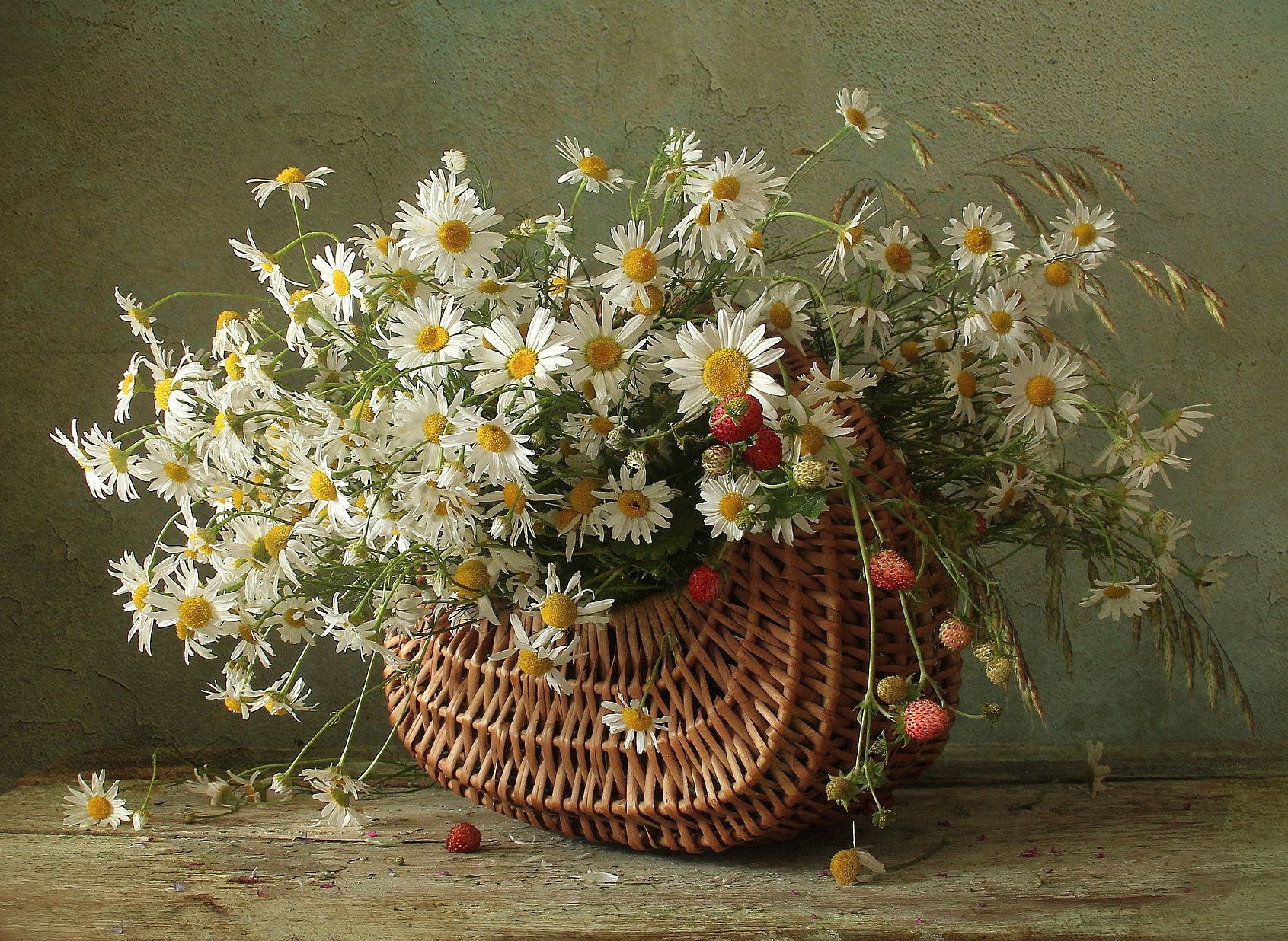 натюрморт, цветы, полевые цветы, лето, марина филатова, ромашки, Марина Филатова