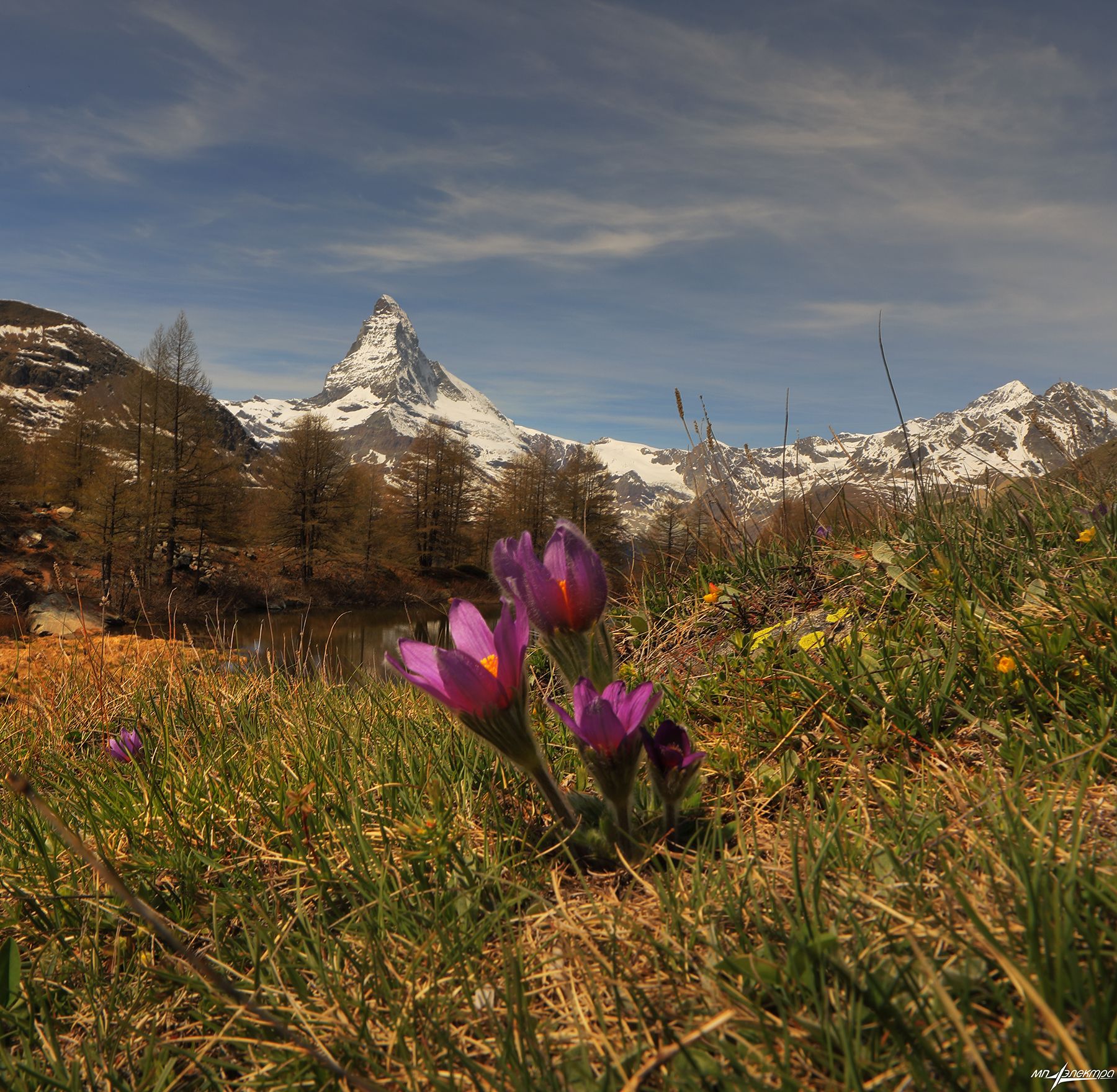 swiss,швейцария,весна,zermatt, Николай Матвеев