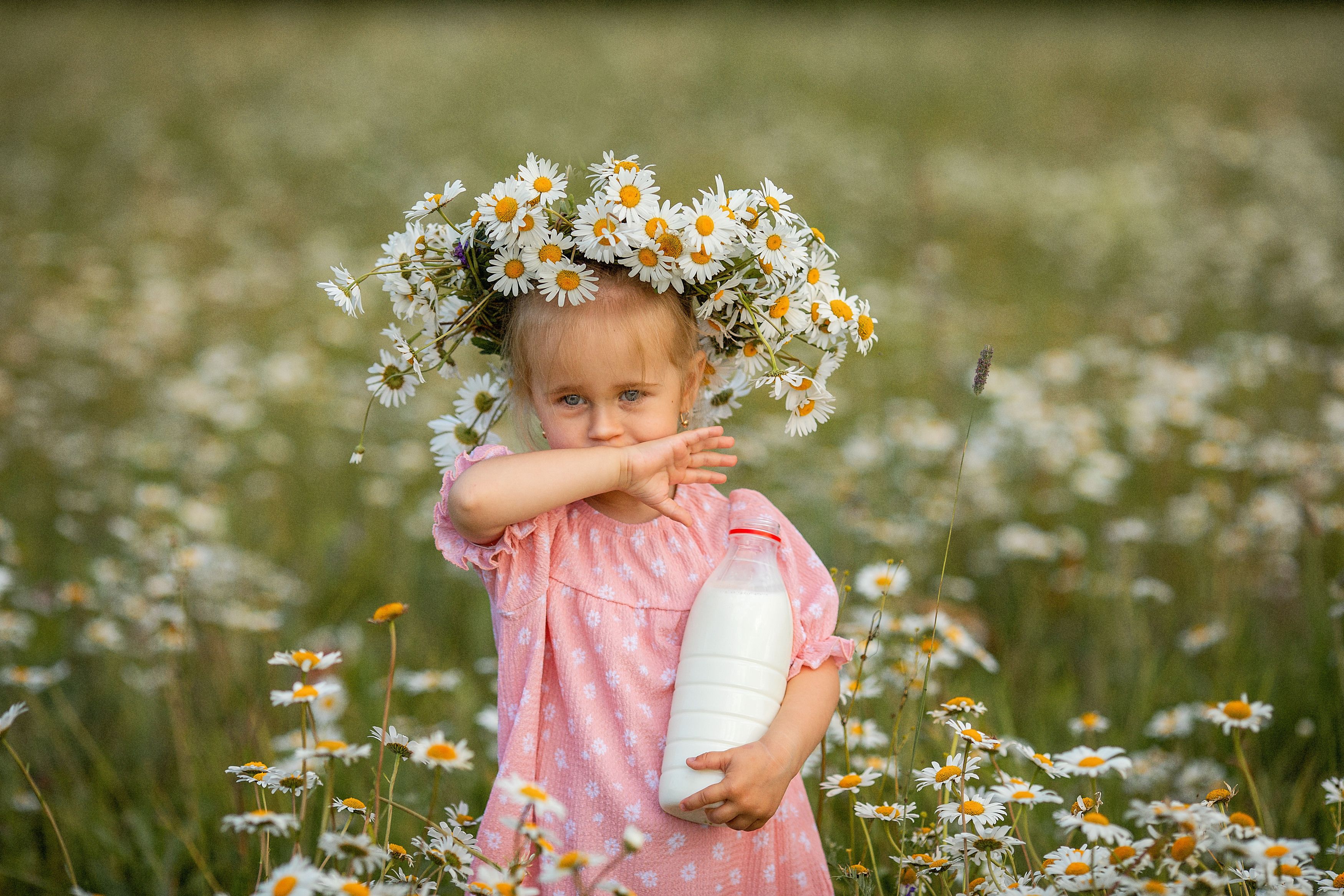 дети, лето, ромашки, молоко, детская фотосессия, Ирина Ларина