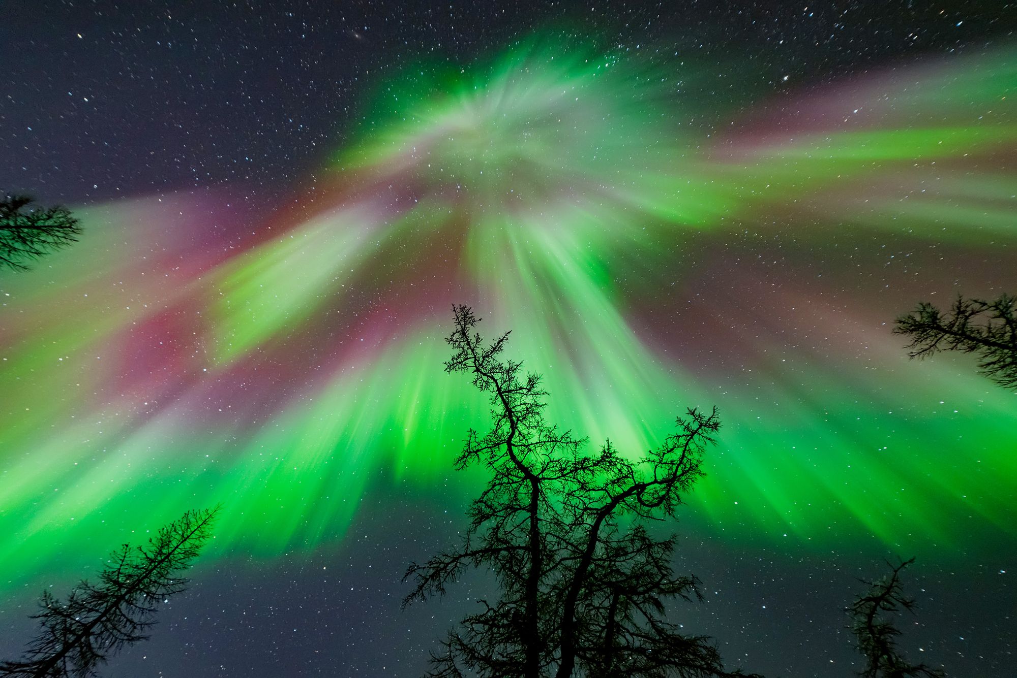 северное сияние, полярное сияние, aurora borealis, Виктор Куликов