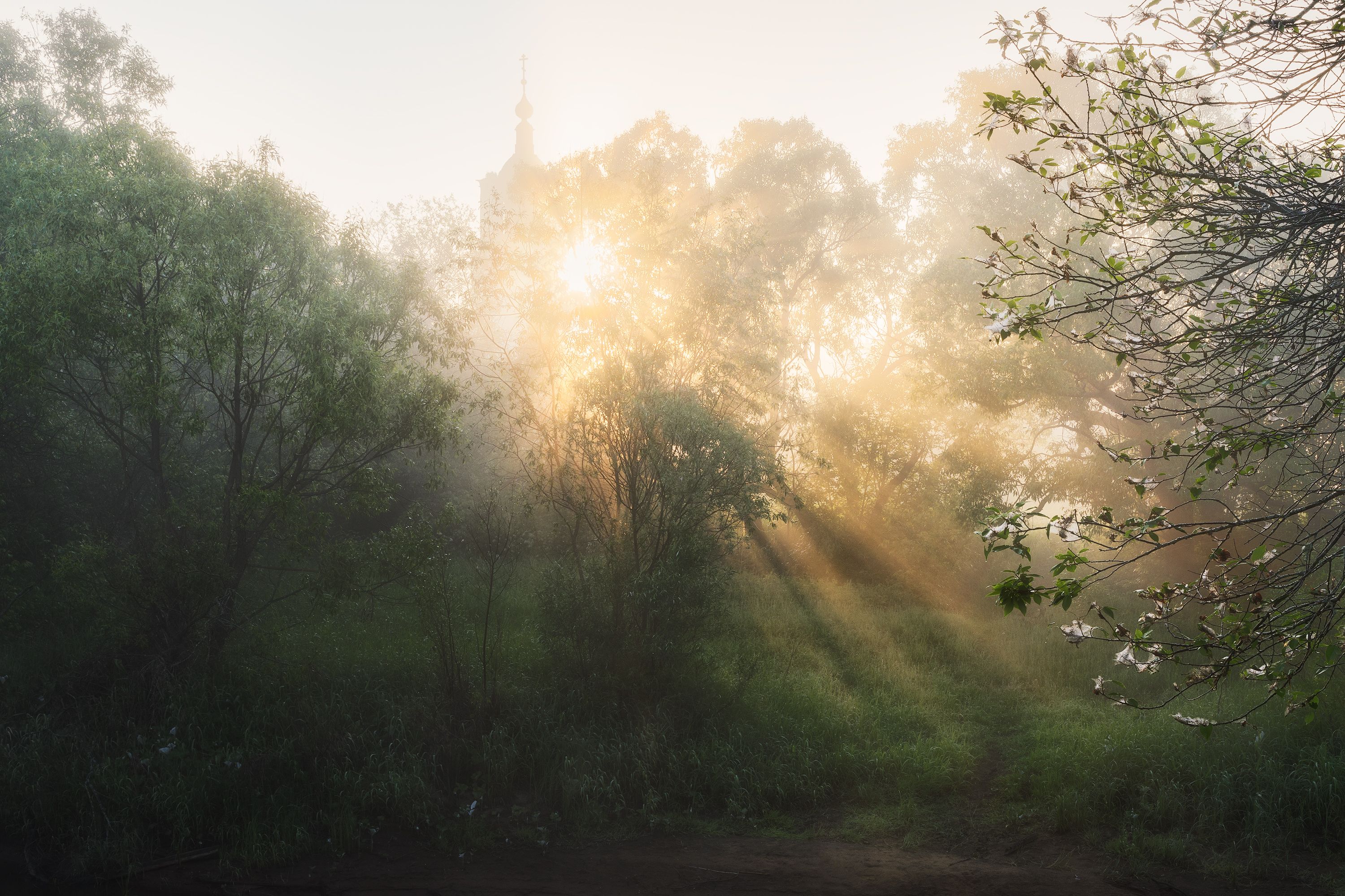 пейзаж, туман, солнце, церковь, fog, sun, landscape, church, Чаланов Иван