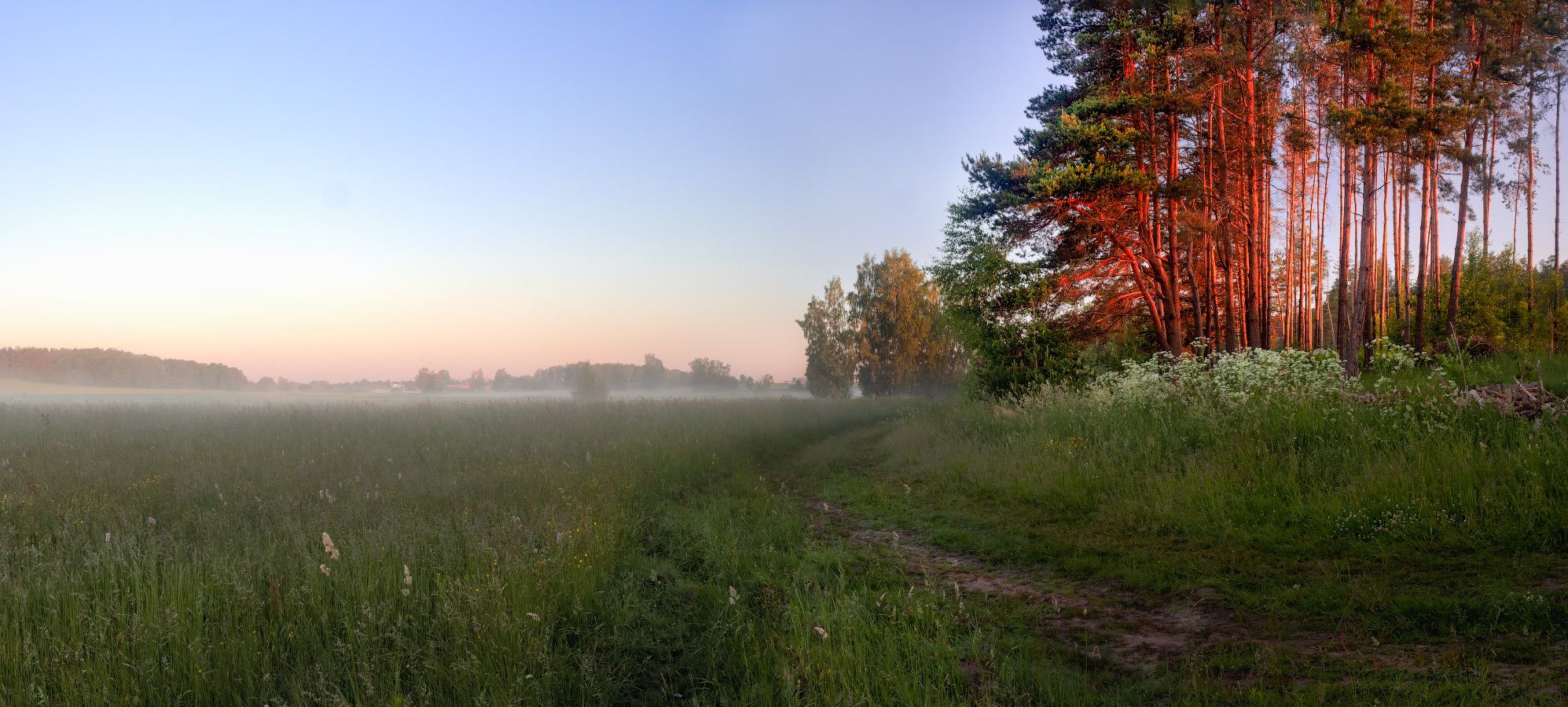 рассвет, лес, поле, туман,, Сергей Шабуневич