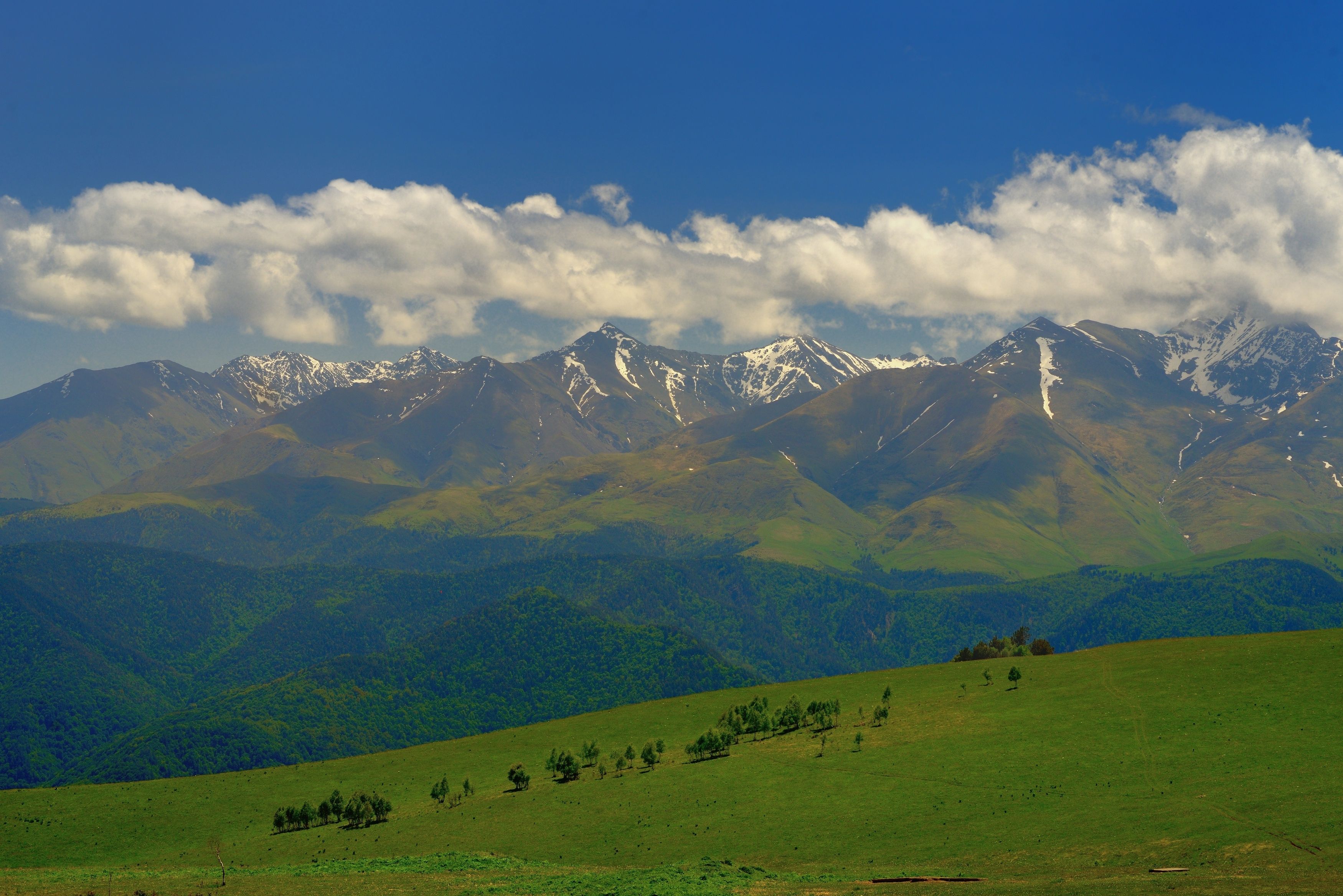 Кахетия пастбища