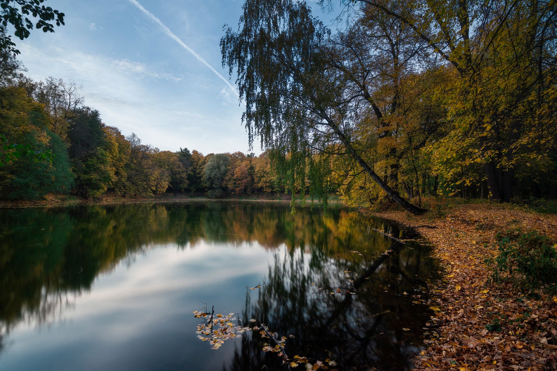 деревья, осень, пруд, отражения, Валерий Вождаев