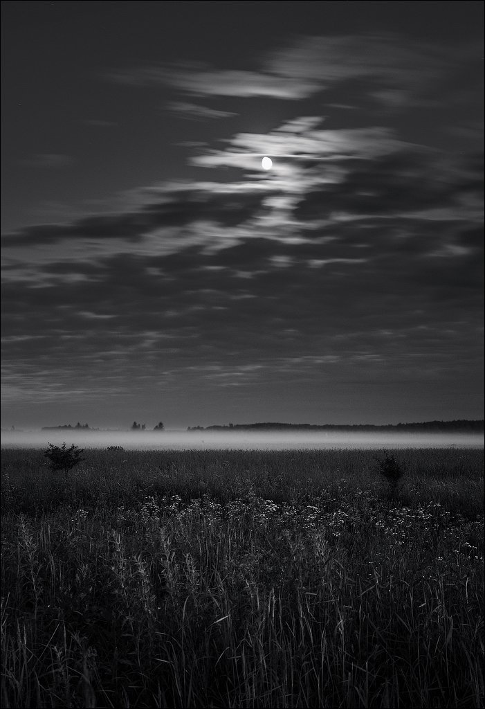 пейзаж, ночь, луна, облака, туман, выдержка, поле, трава, чб, небо, россия, природа, Алексей Архипов