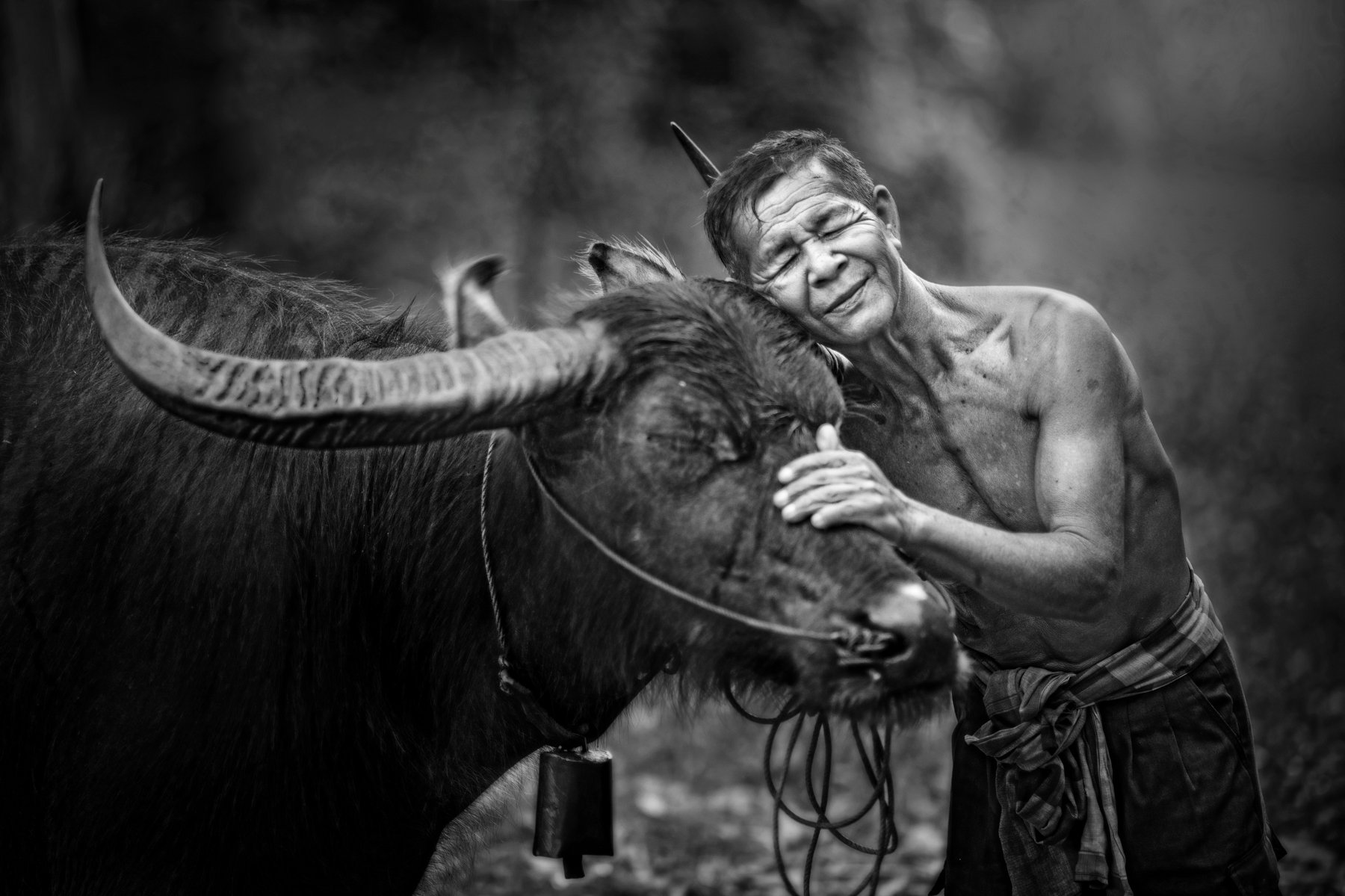 Black And White, Friendship, Animal Themes, Thailand, Asian and Indian Ethnicities, Shirtless, Water Buffalo, 55-59 Years, Adult, Adults Only, Cow Bell, Day, Domestic Animals, Eyes Closed, Focus On Foreground, Front View, Horizontal, Love, Mature Adult, O, sarawut intarob