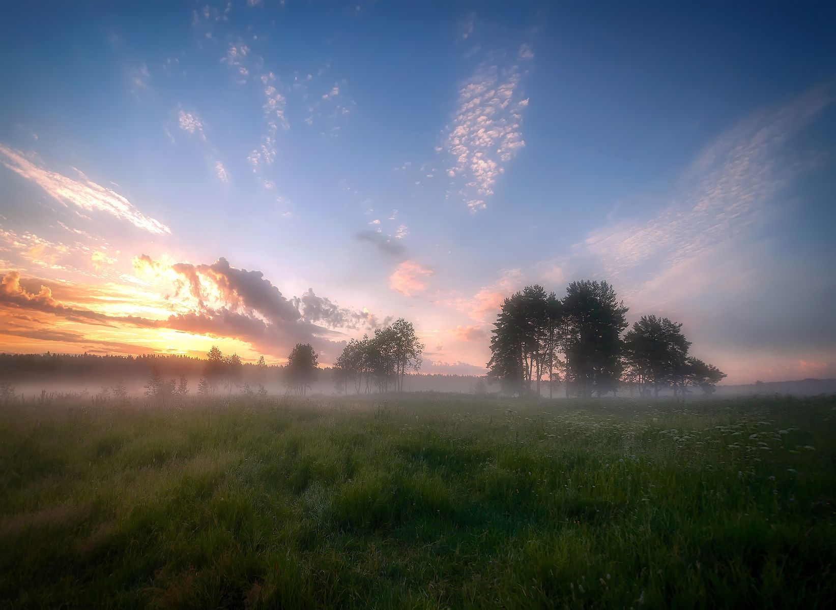 зоря, поле, восход, туман, утро., Сергей Аникин