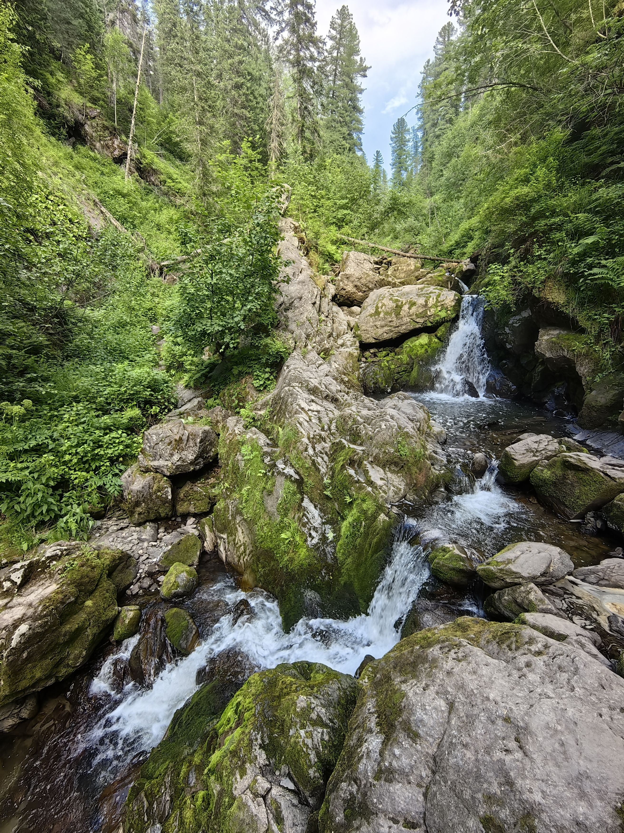 природа,водопад,алтай,деревья, Козлова Галина