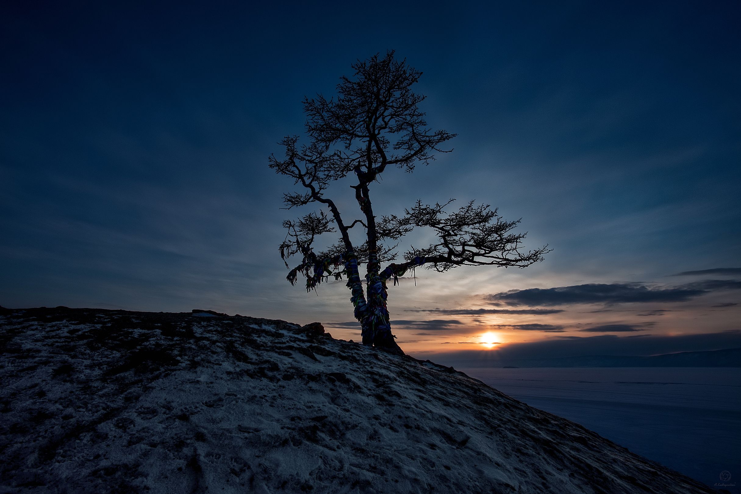 байкал, дерево, закат, пейзаж, путешествия, Анатолий Кудрявцев