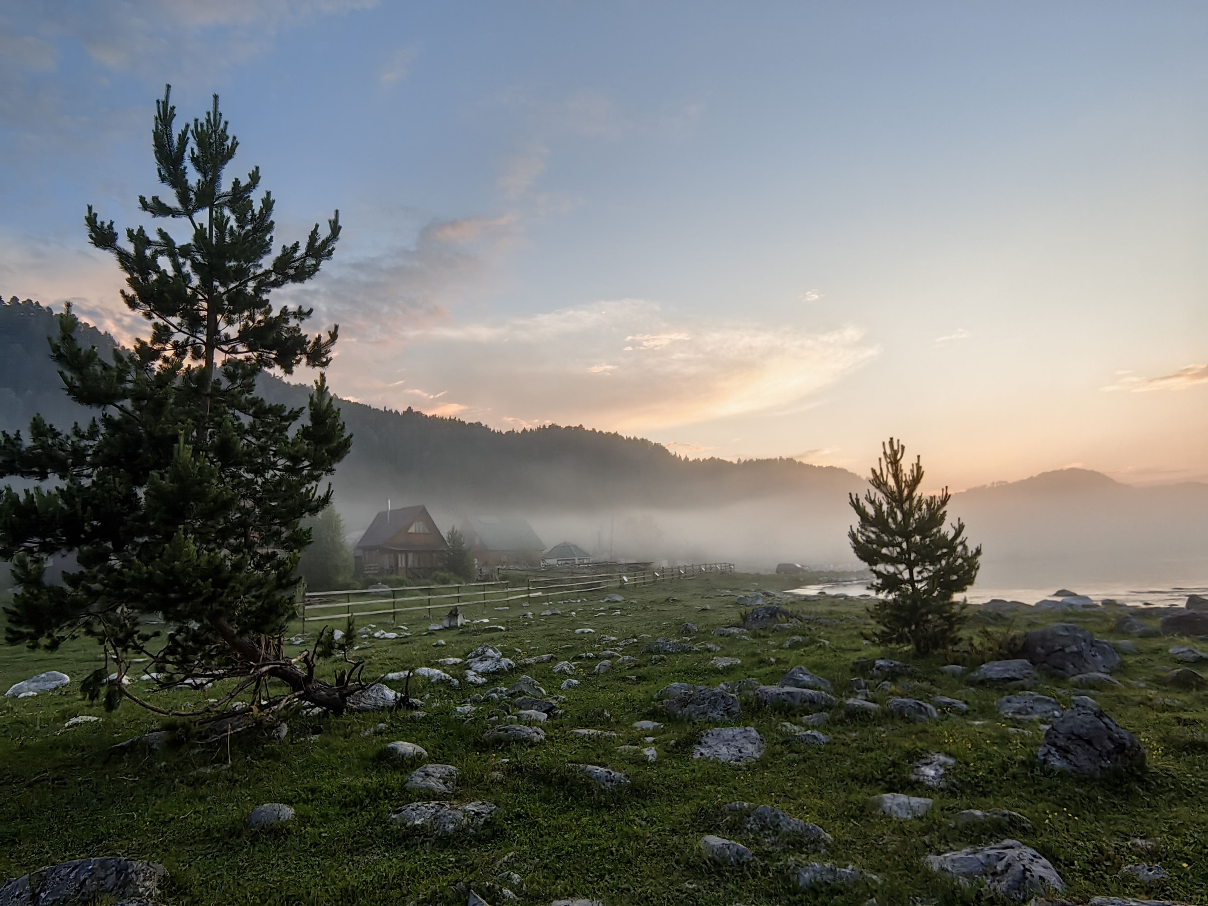 лето,алтай,туман,деревья,рассвет, Козлова Галина