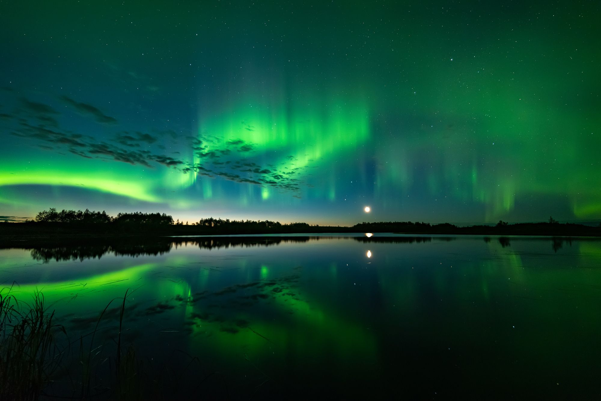 северное сияние, полярное сияние, заполярье, aurora borealis, polar lights,озеро, отражение, Виктор Куликов