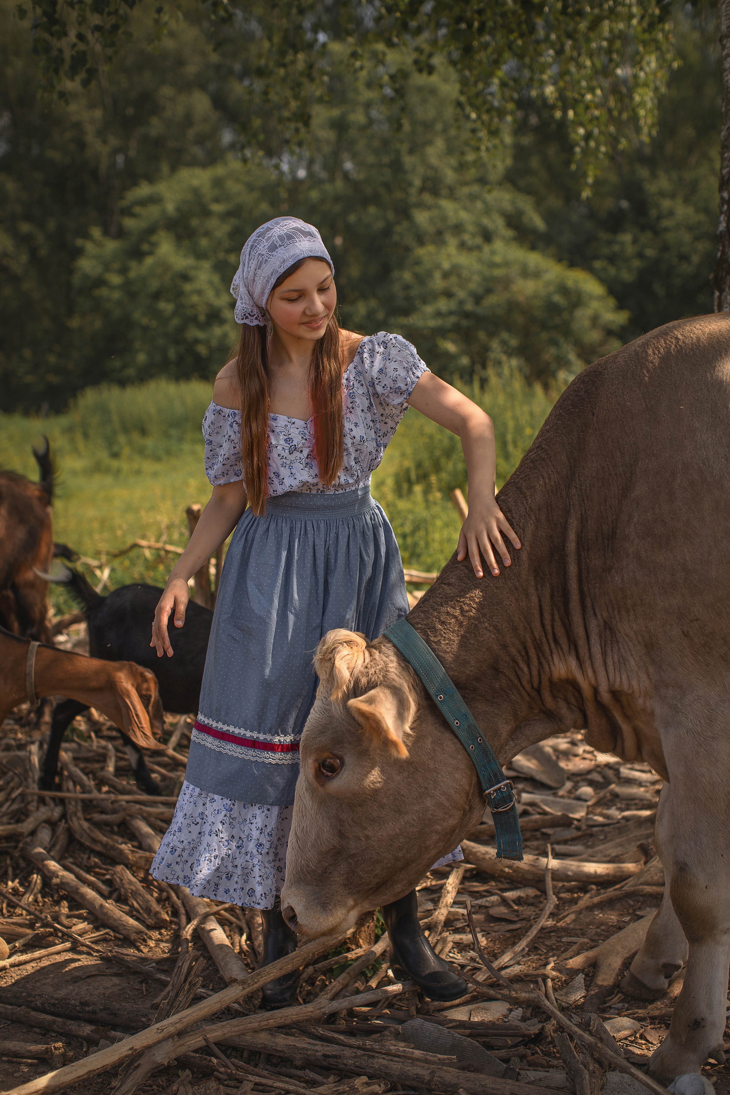 девочка ферма хозяюшка коза корова животные лето солнца деревня фотография, Шепелева Татьяна