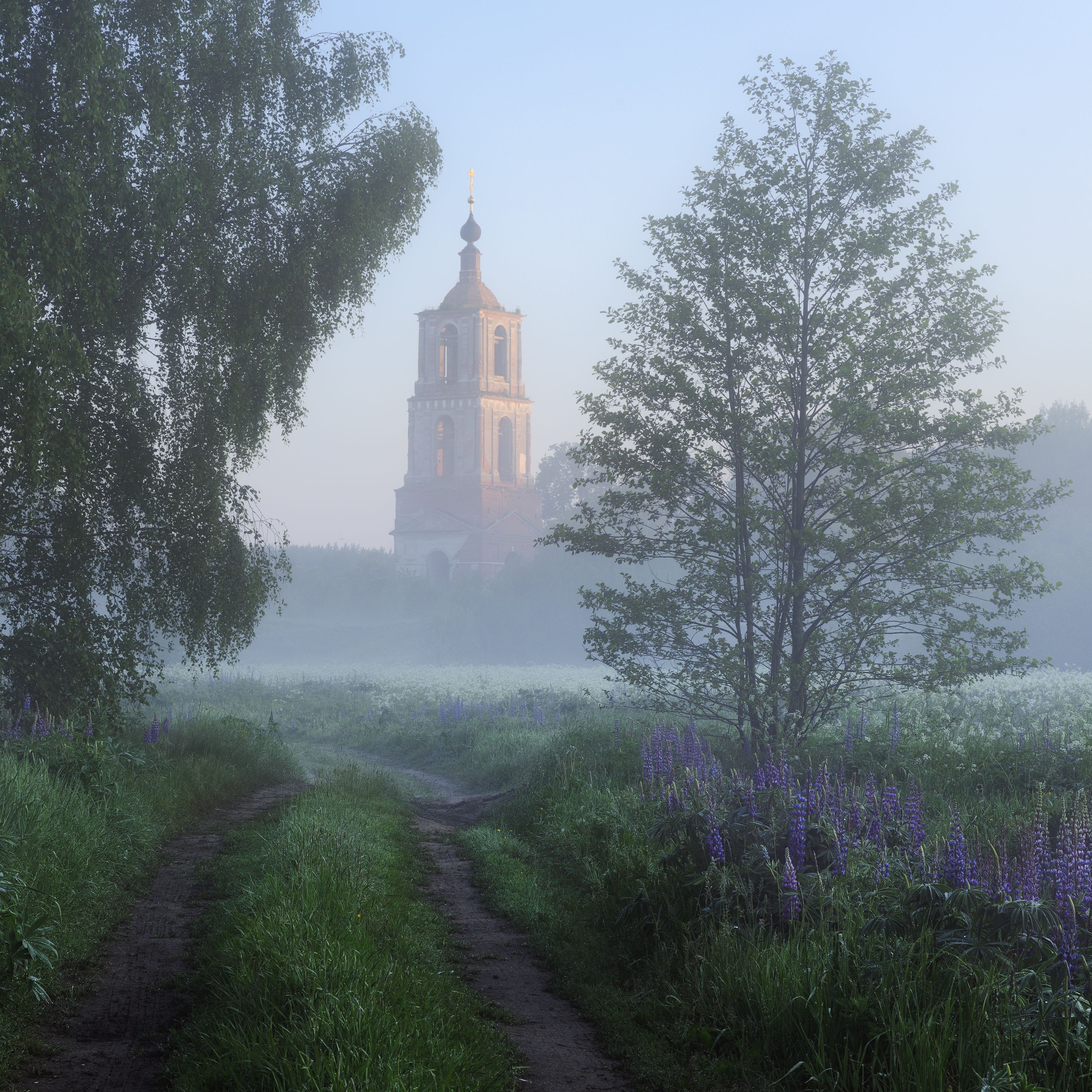 пейзаж, церковь, лето, туман, fog, landscape, church, Чаланов Иван