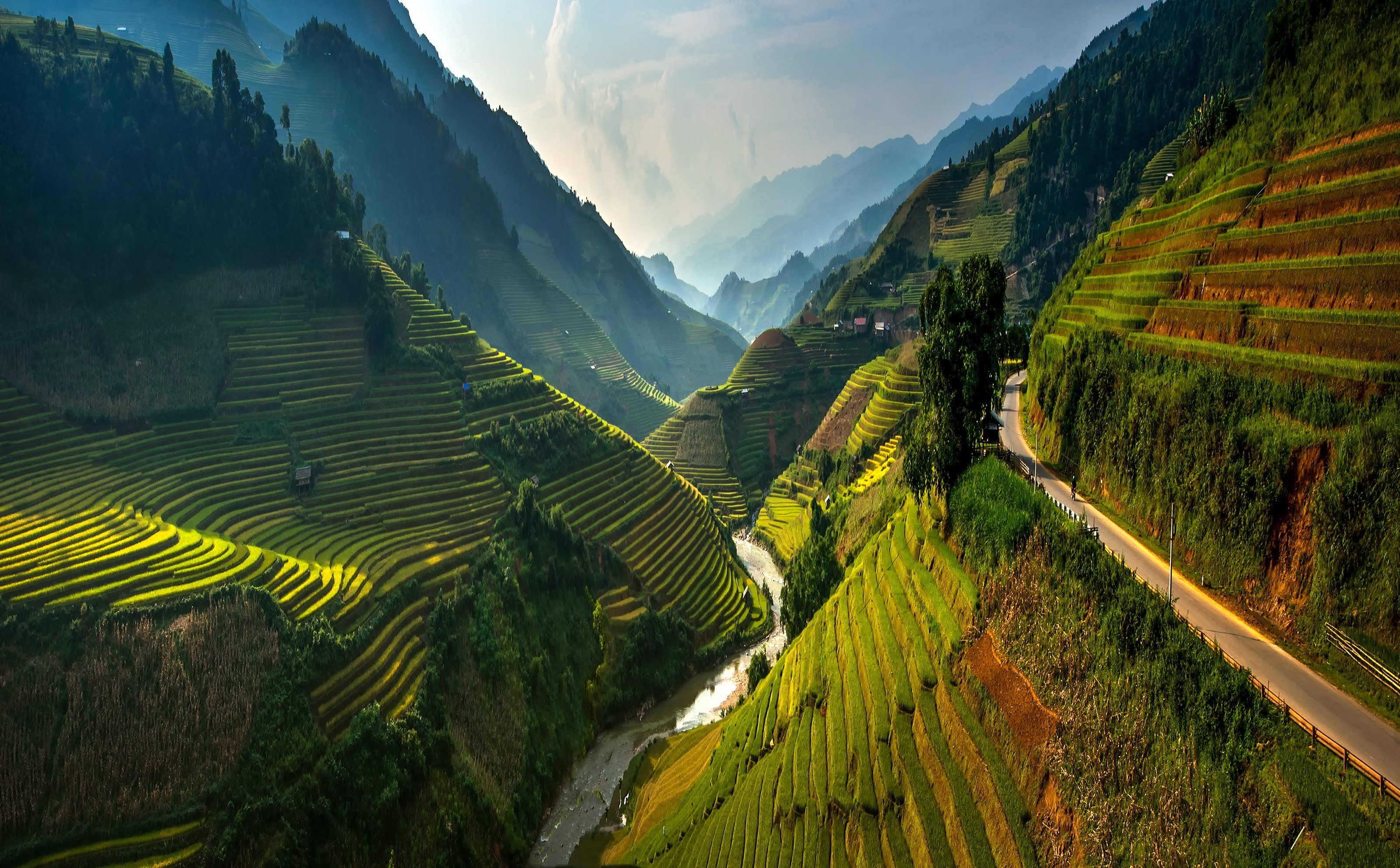 Vietnam, Landscape, Scenics, Agriculture, Beauty In Nature, Color Image, Day, Farm, Field, Green Color, Growth, High Angle View, Horizontal, Lush Foliage, Mountain, Mountain Range, Nature, No People, Outdoors, Photography, Rice Paddy, Sunlight, Terraced F, sarawut intarob