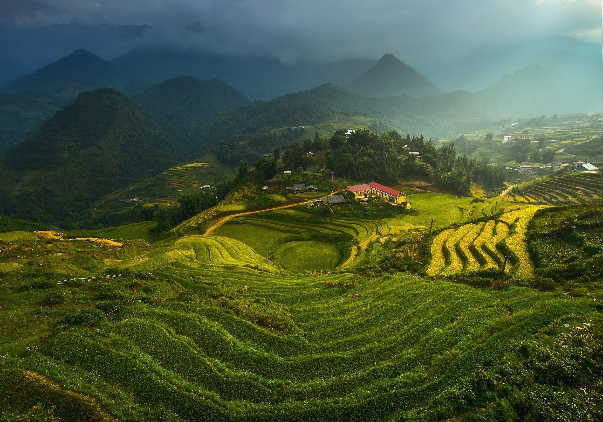 Agriculture, Beauty In Nature, Color Image, Day, Green Color, Harvesting, Horizontal, No People, Outdoors, Photography, Rice - Cereal Plant, Rice Paddy, Terraced Field, Travel Destinations, Vietnam, sarawut intarob