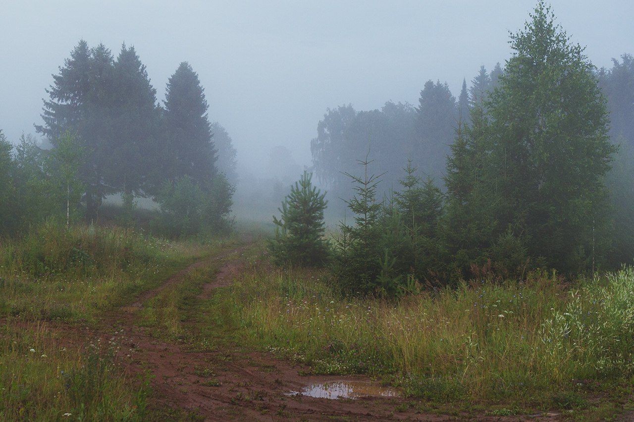 удмуртия, туман, утро, лес, Бабинцева Мария