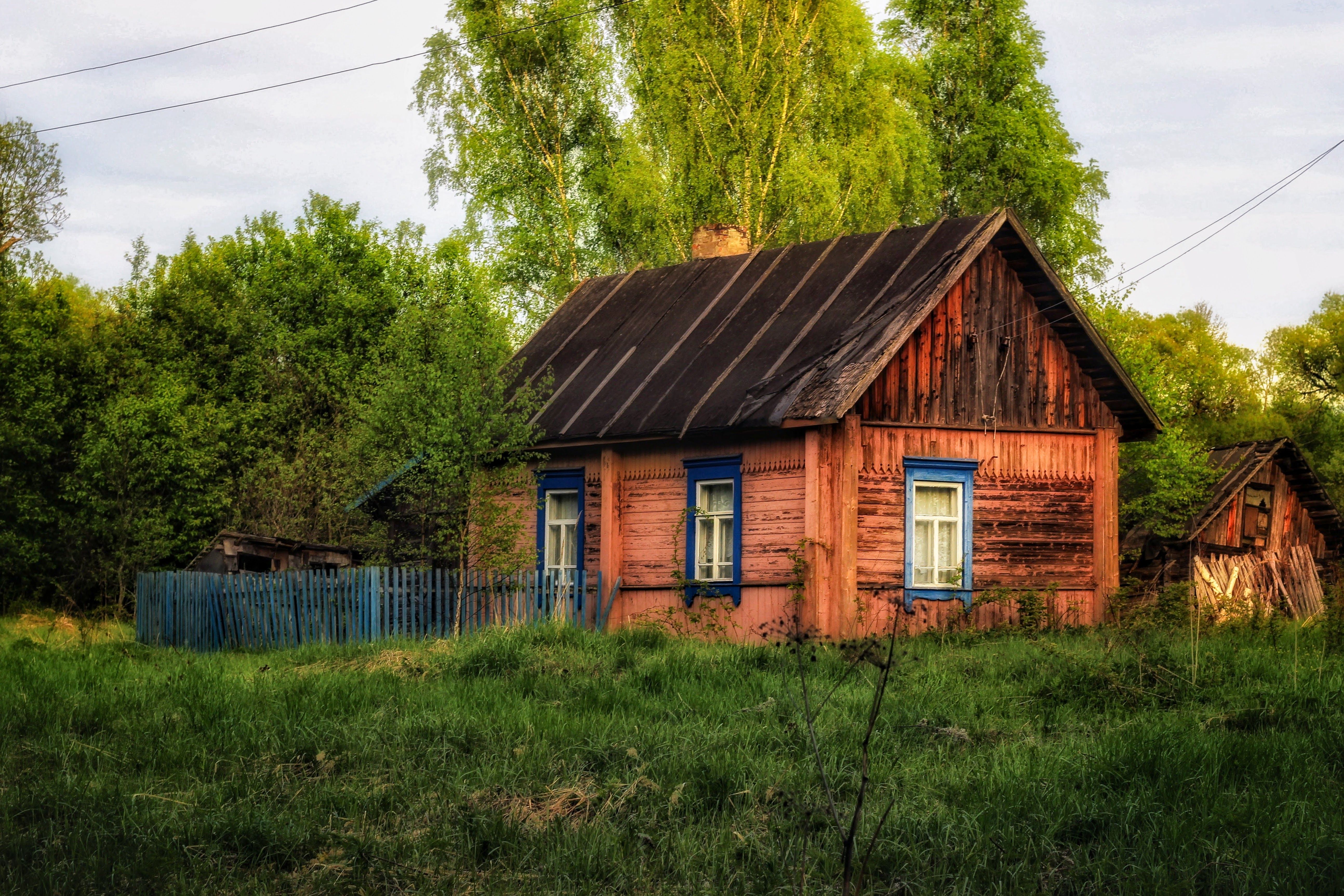 , Александр Сахар