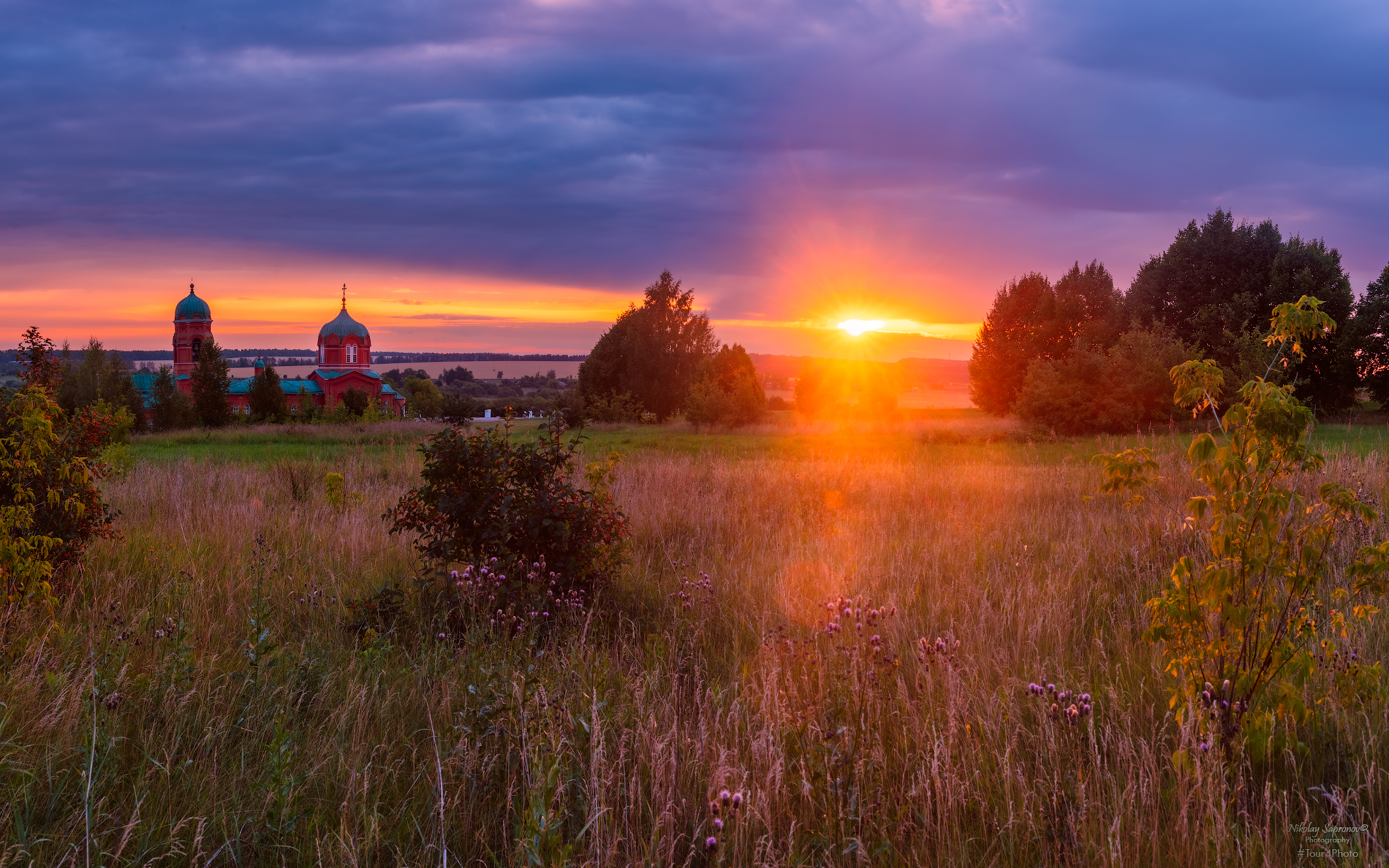 куликово поле, монастырщино, тульская область, рассвет, летнее утро, луговые цветы, Николай Сапронов