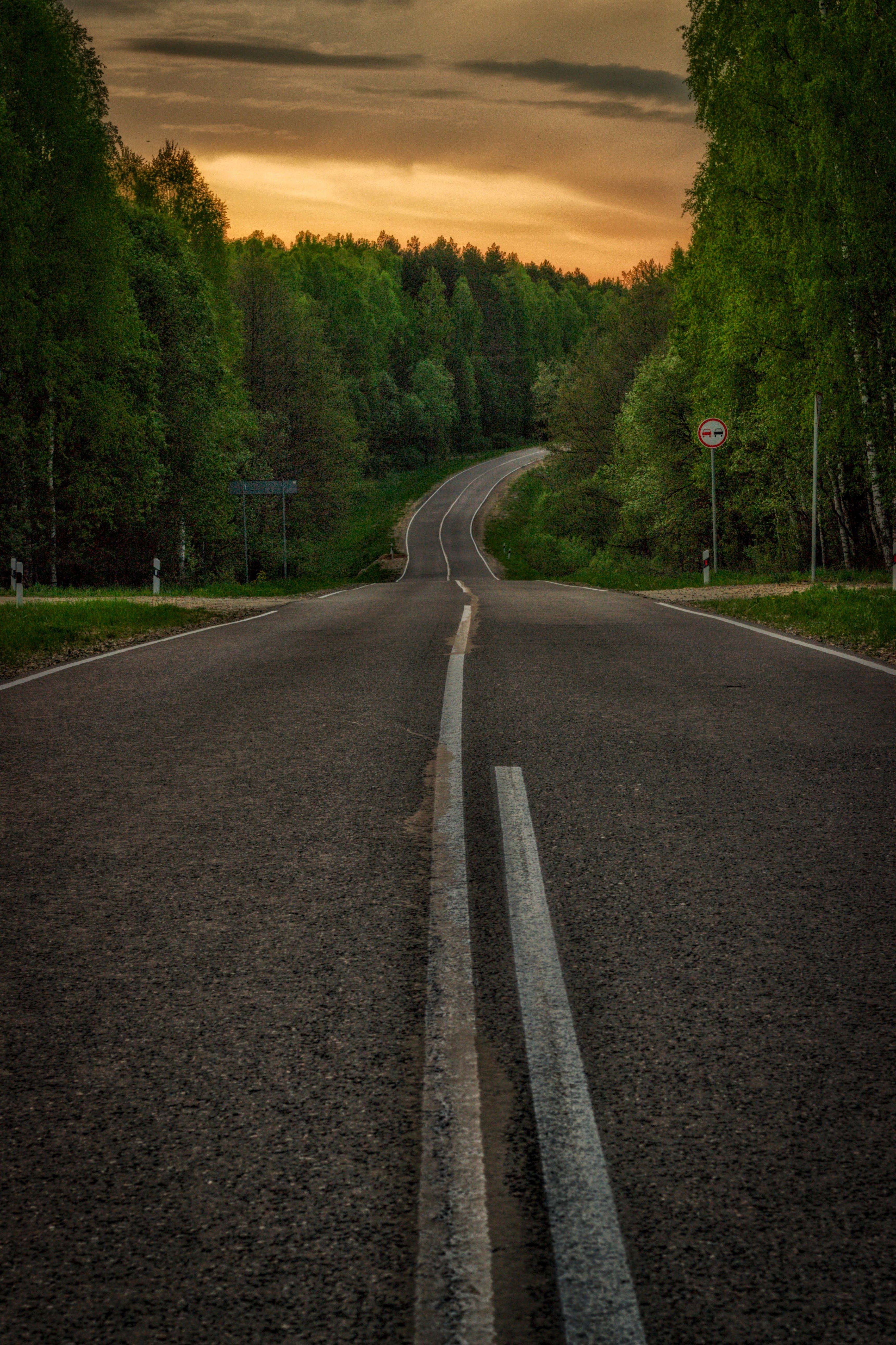 , Александр Сахар