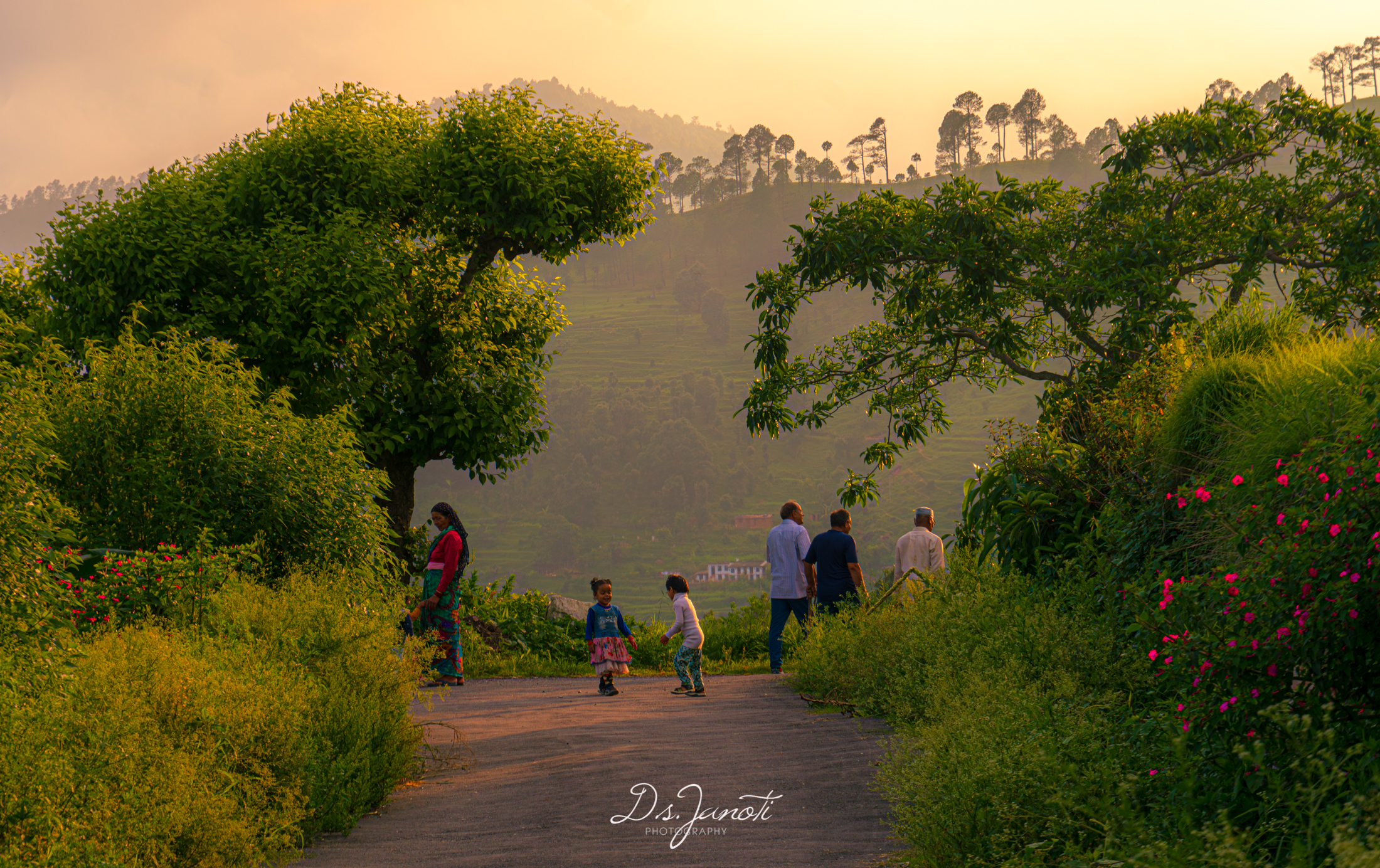 #evening  #evening walk #monsoon #green #village #india, Digvijay singh Janoti