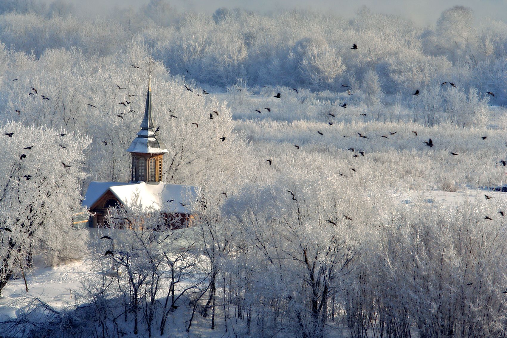 , Андрей Петросян