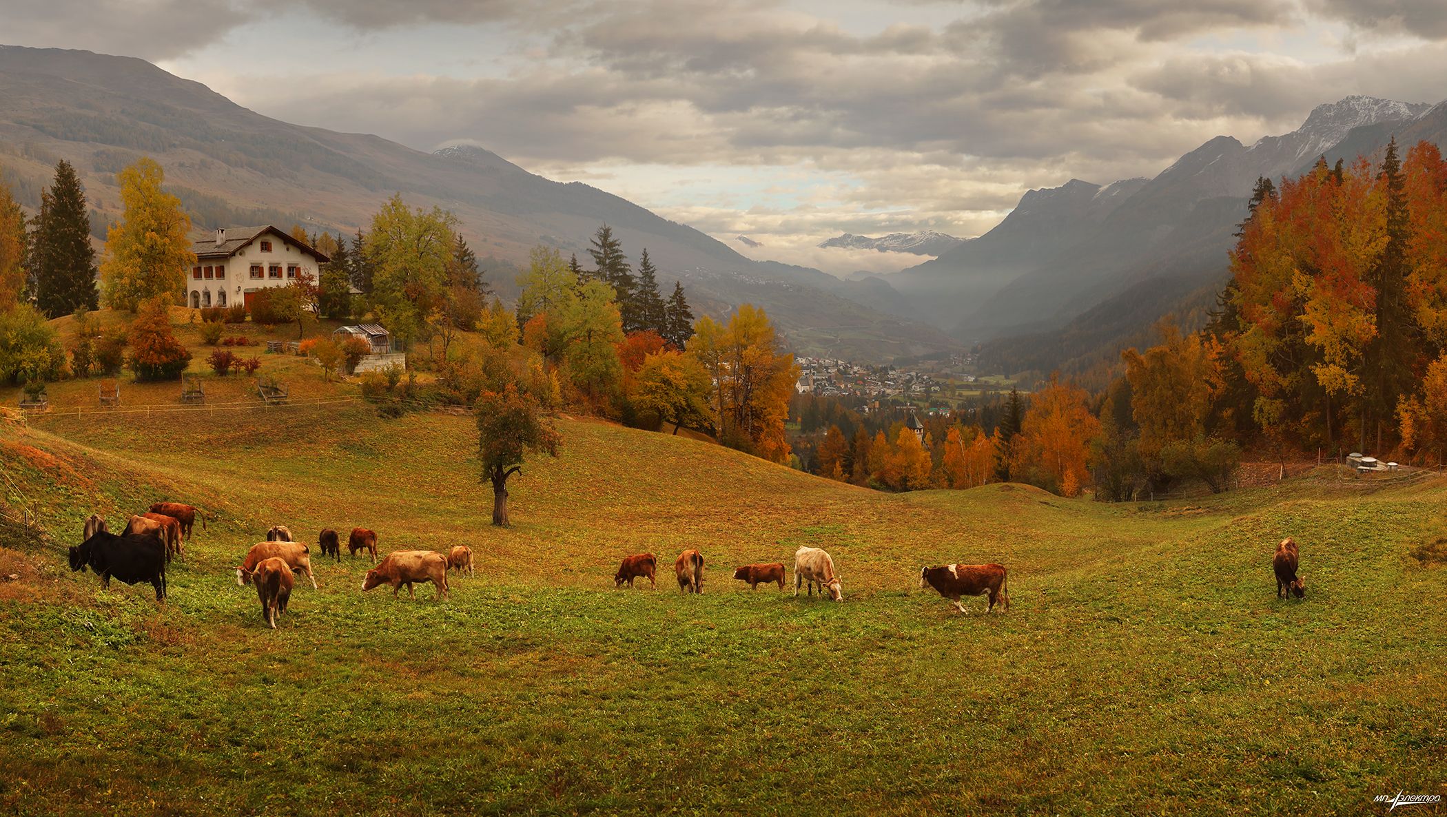 swiss,швейцария,осень,scuol, Николай Матвеев