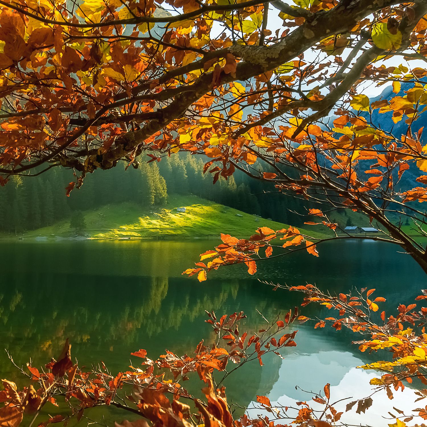 пейзаж,природа,осень, озеро, свет,закат, Европа, Швейцария, Лариса Дука