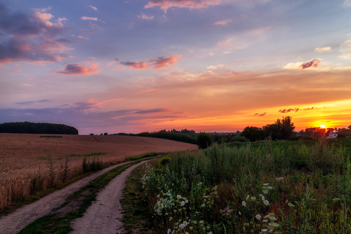 пейзаж закат вечер лето поле, Дима Карабинов